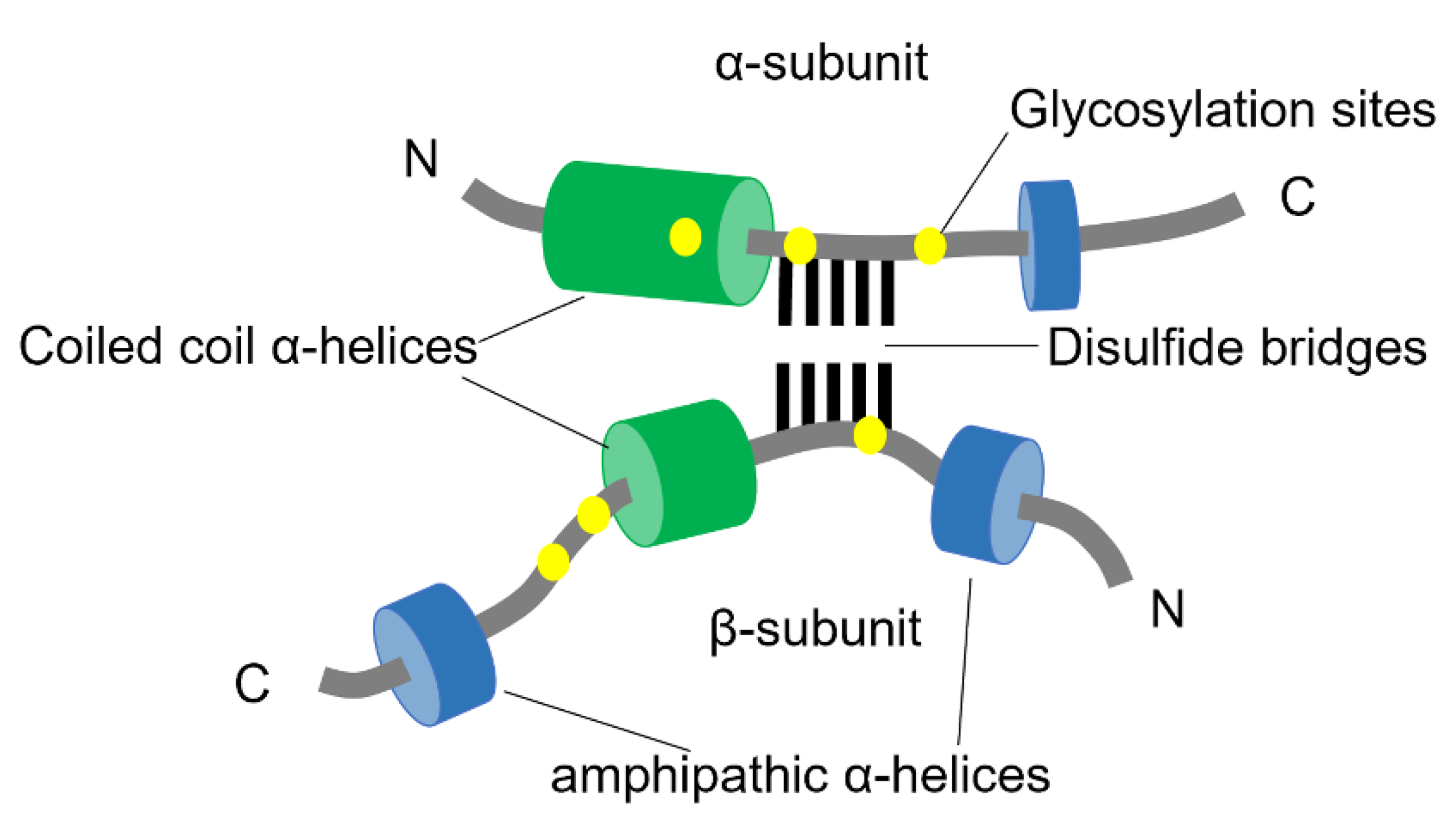 Biomolecules 12 00446 g006