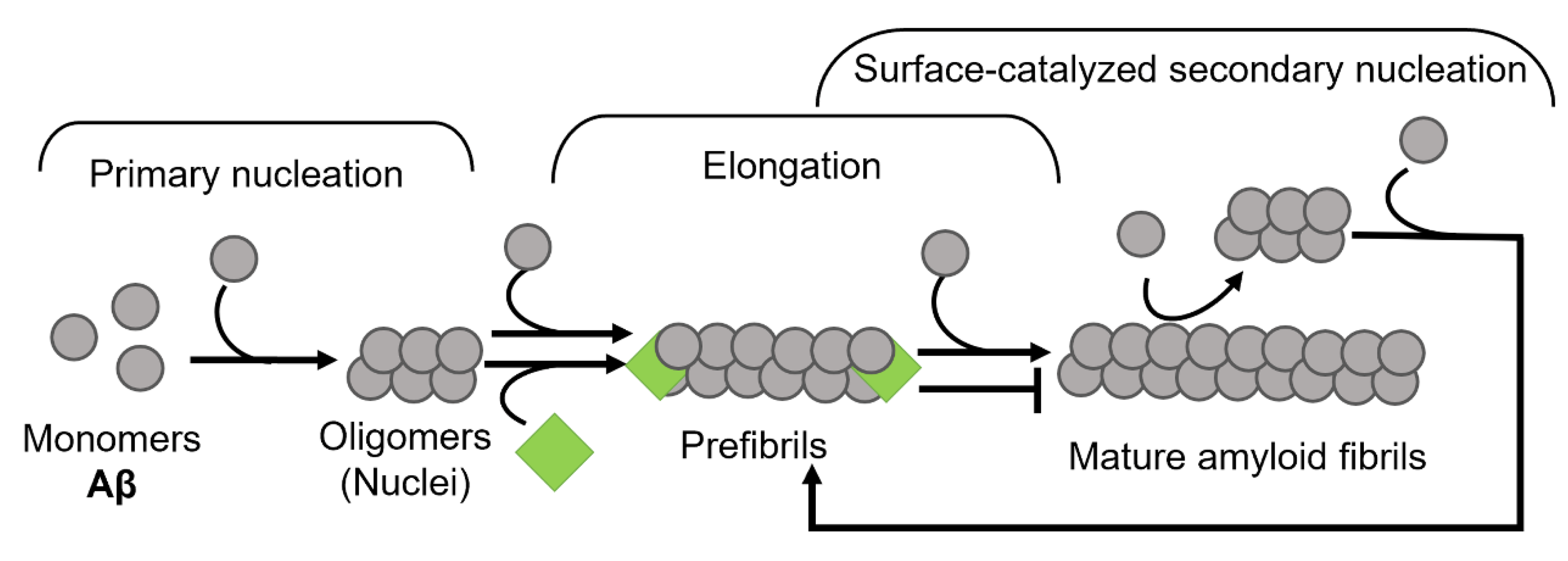 Biomolecules 12 00446 g007