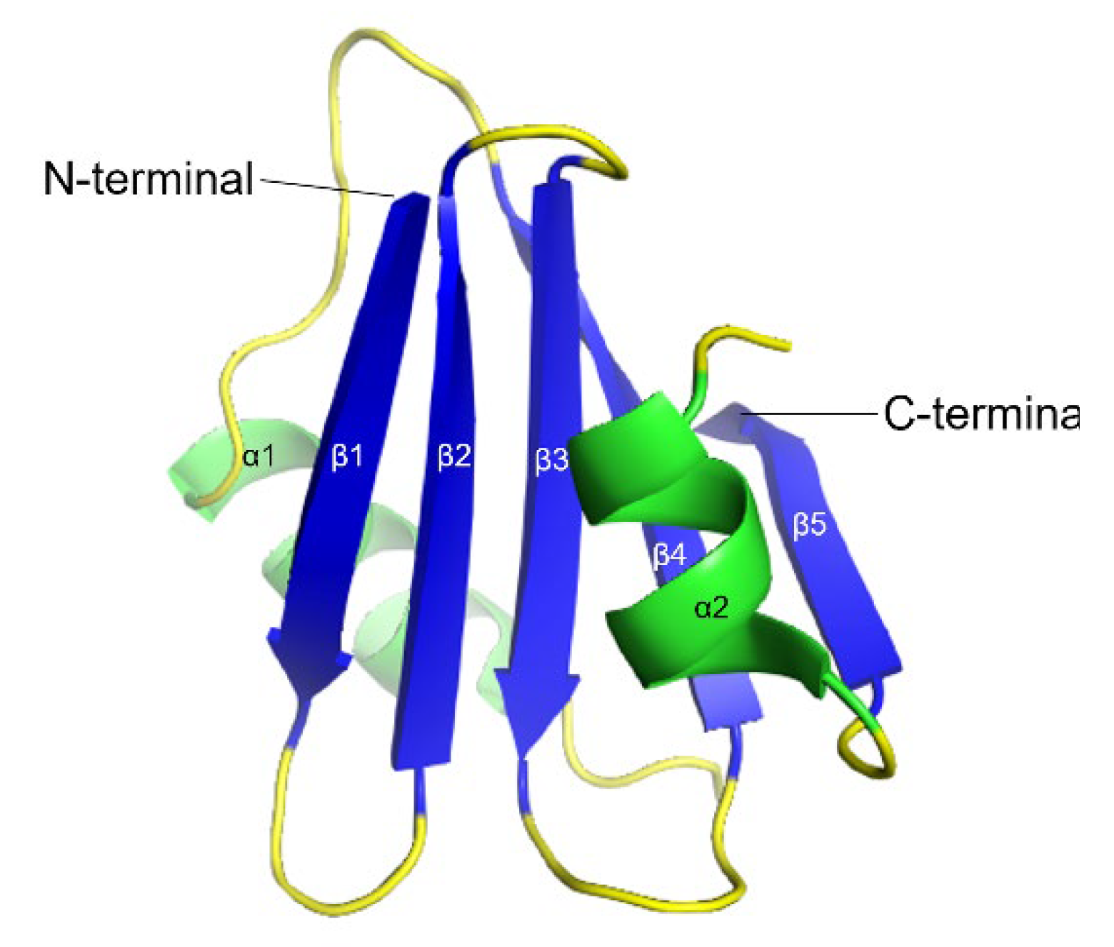 Biomolecules 12 00446 g008