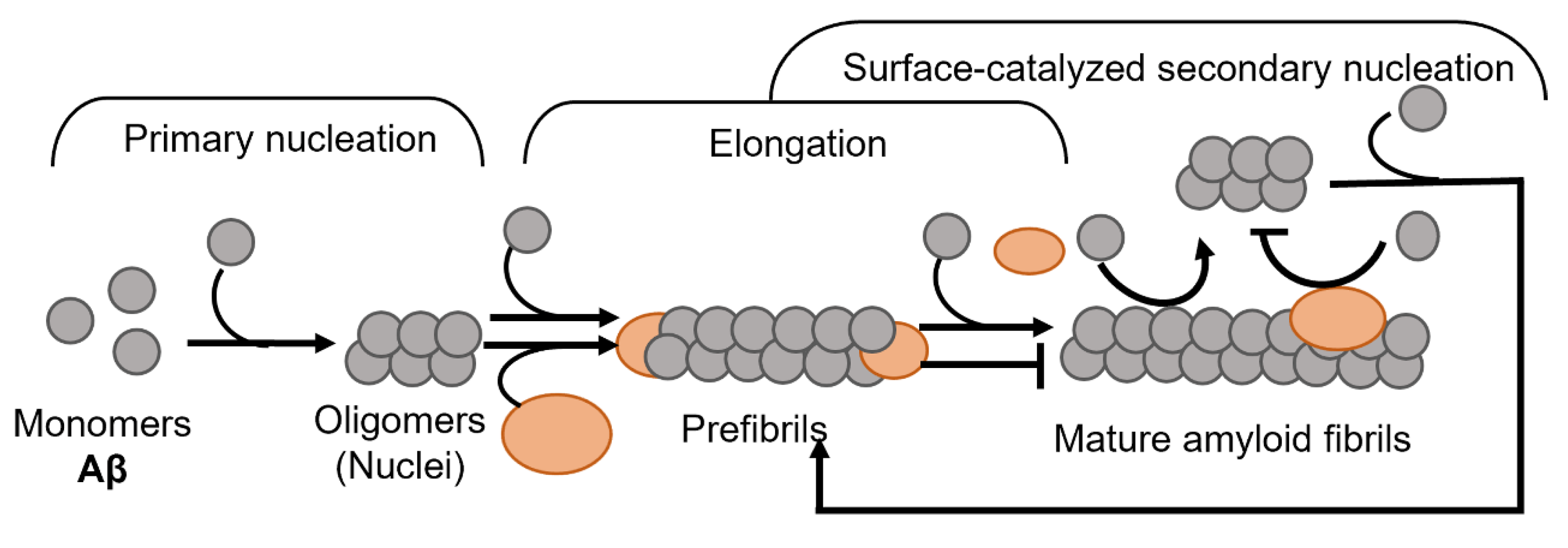 Biomolecules 12 00446 g009