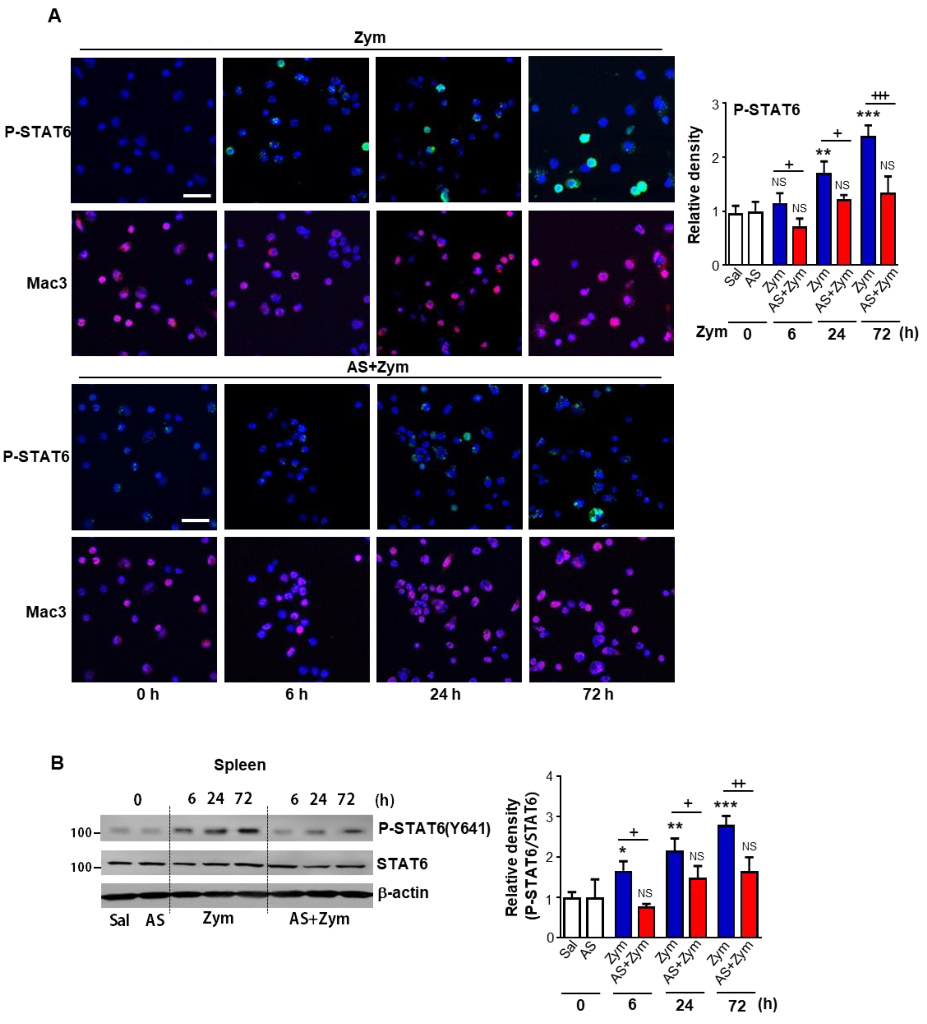 Biomolecules 12 00447 g001