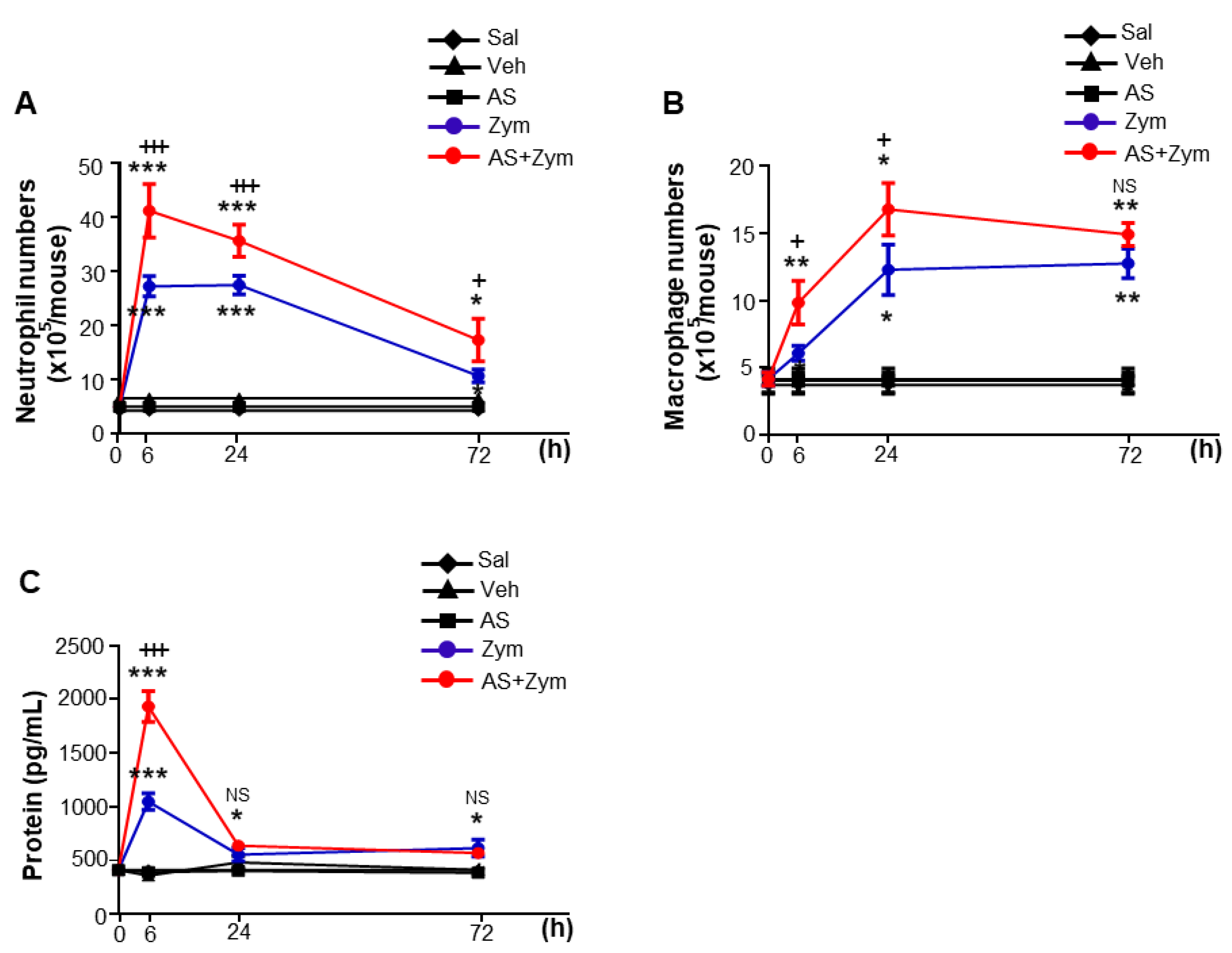 Biomolecules 12 00447 g003