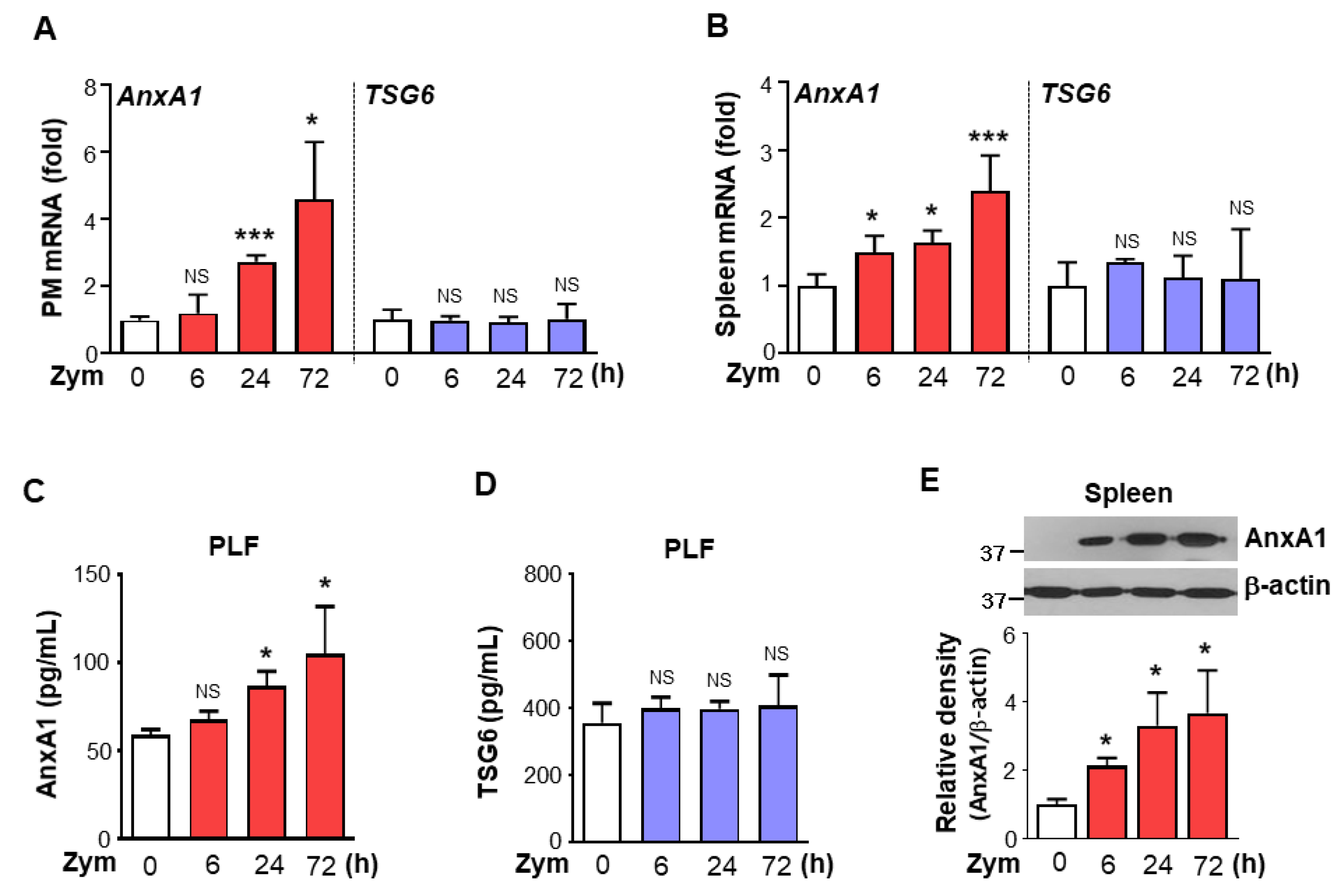 Biomolecules 12 00447 g004