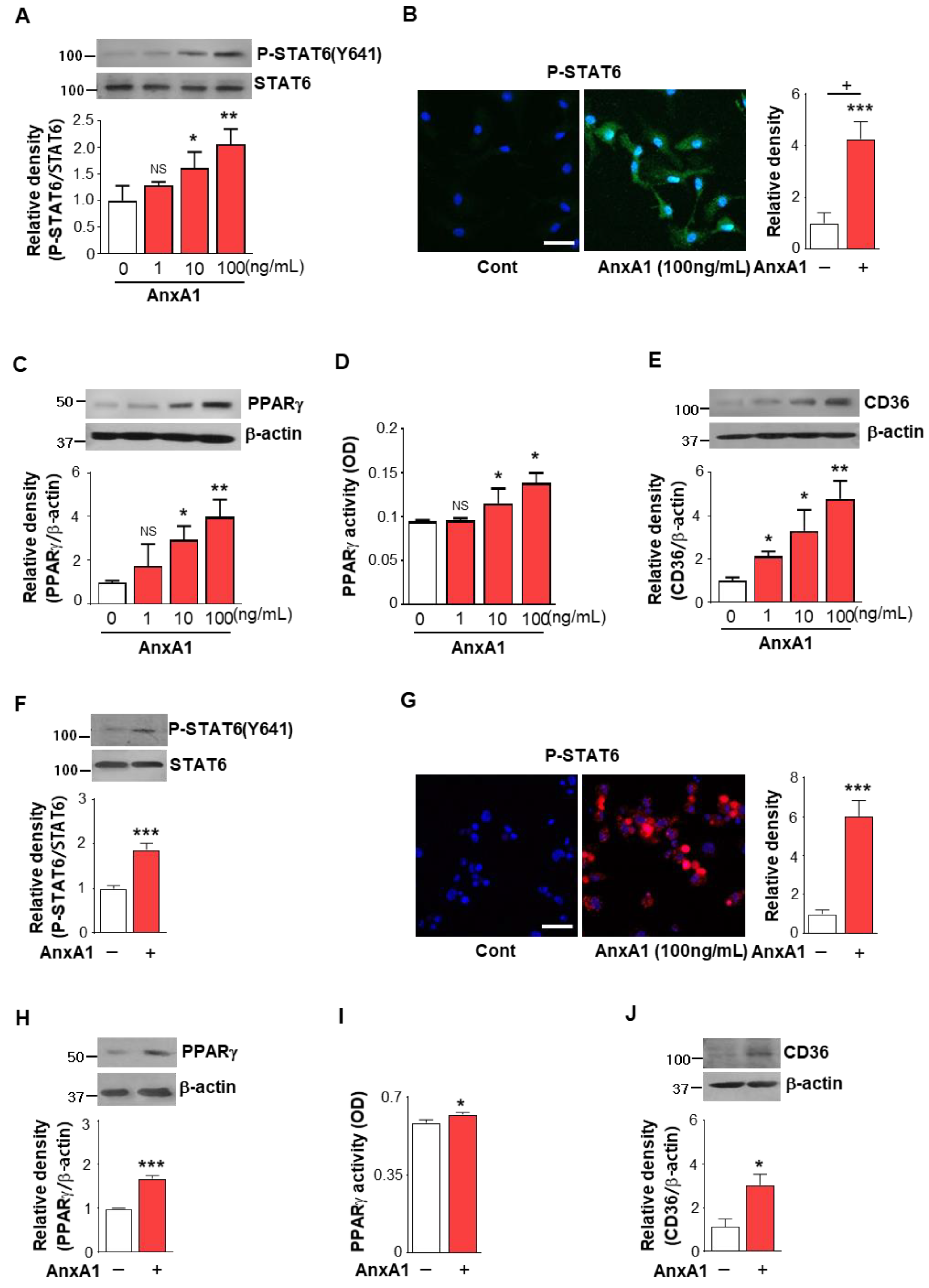 Biomolecules 12 00447 g005
