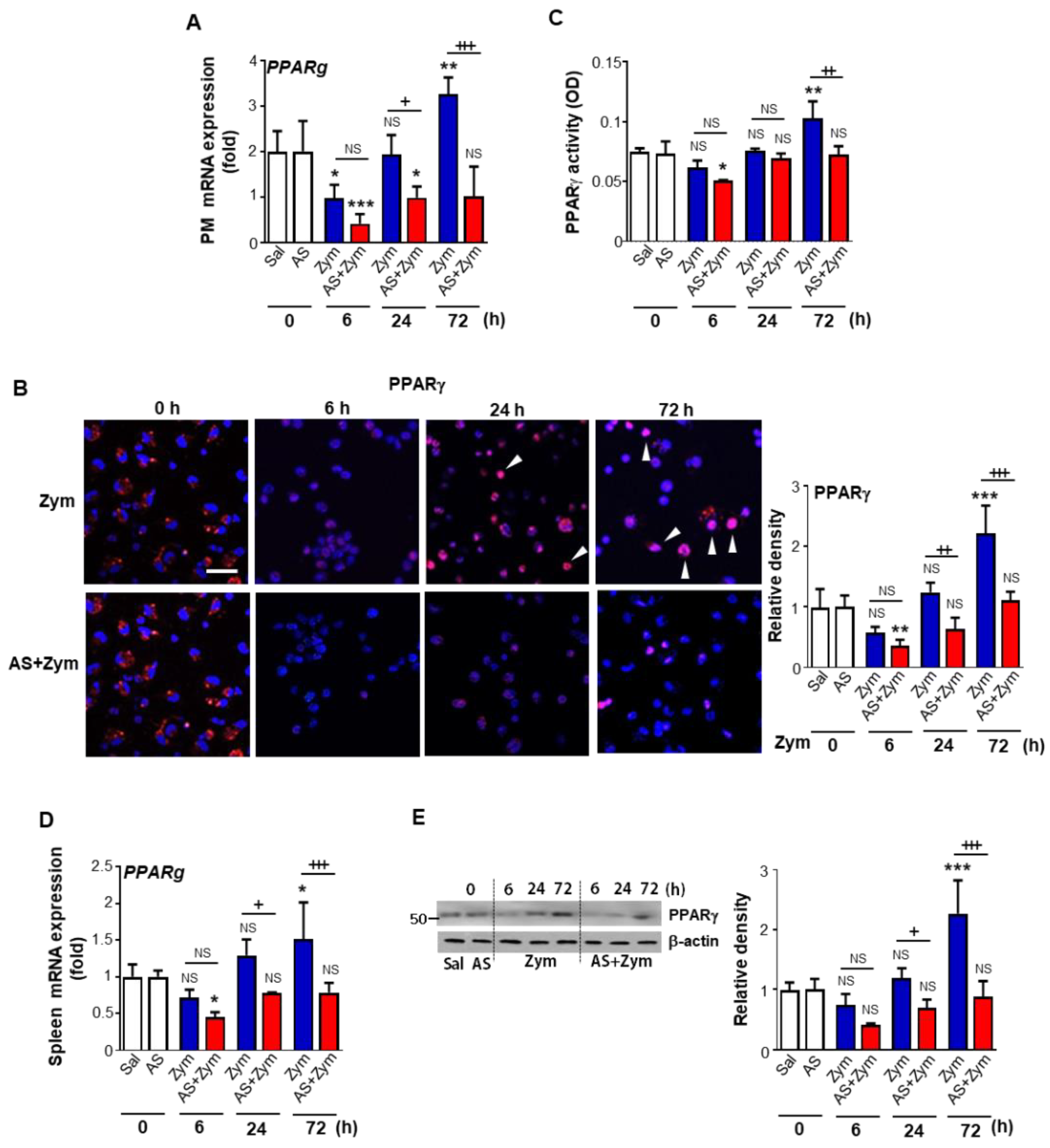 Biomolecules 12 00447 g006