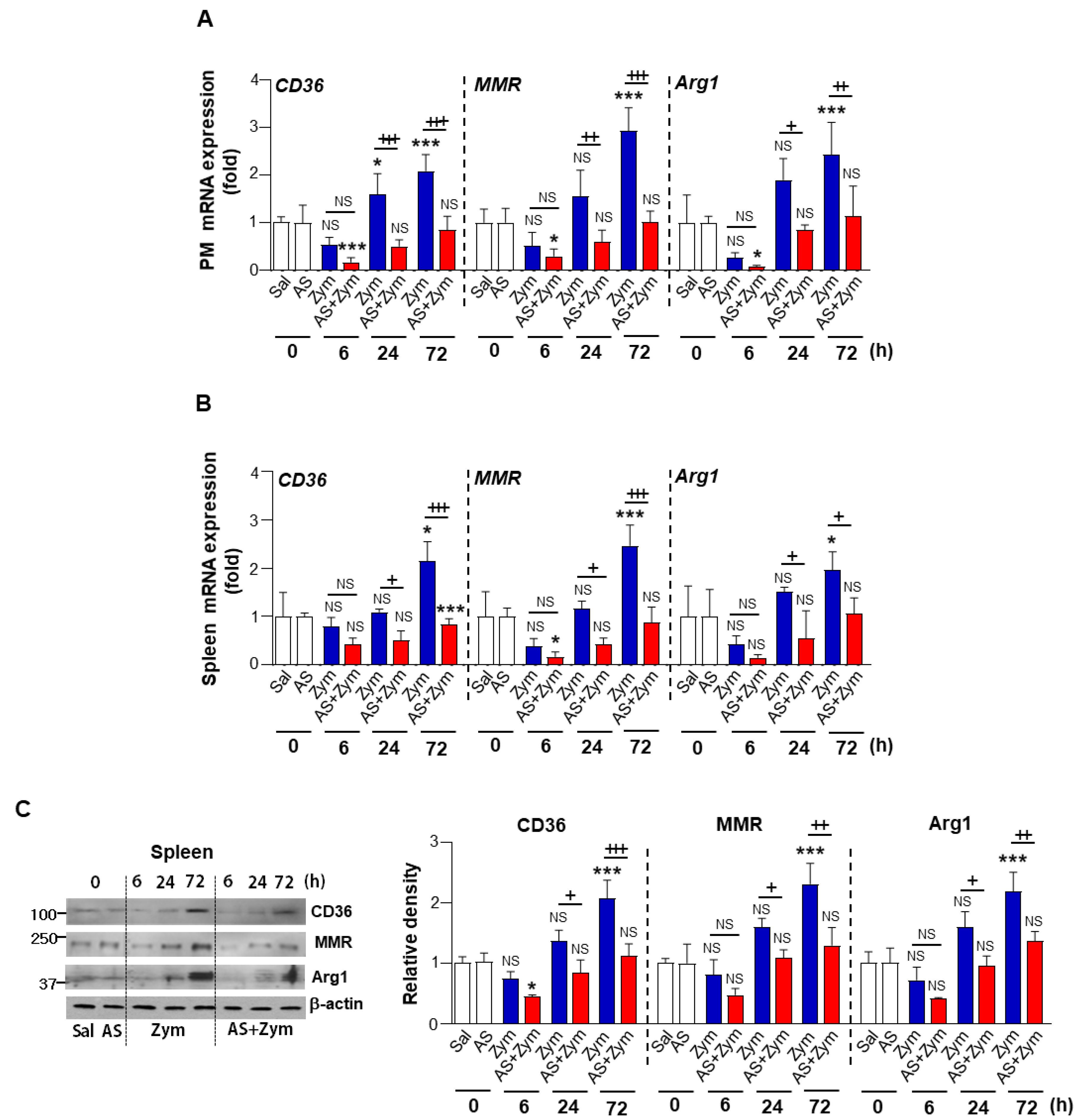 Biomolecules 12 00447 g007