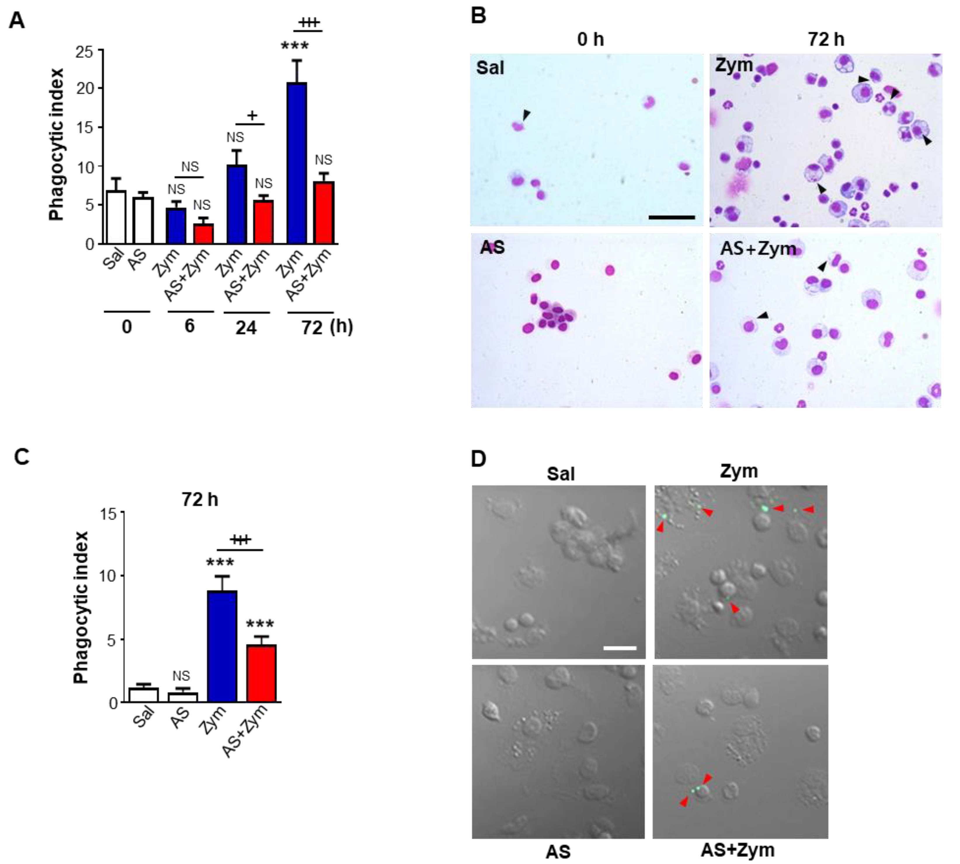 Biomolecules 12 00447 g008