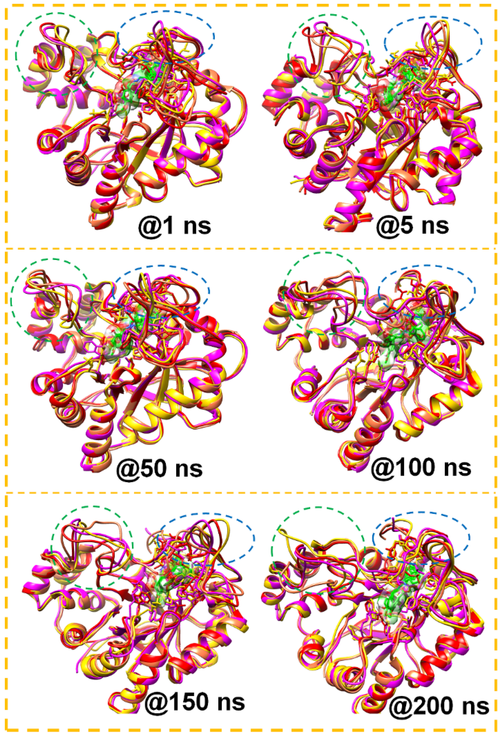 Biomolecules 12 00448 g009