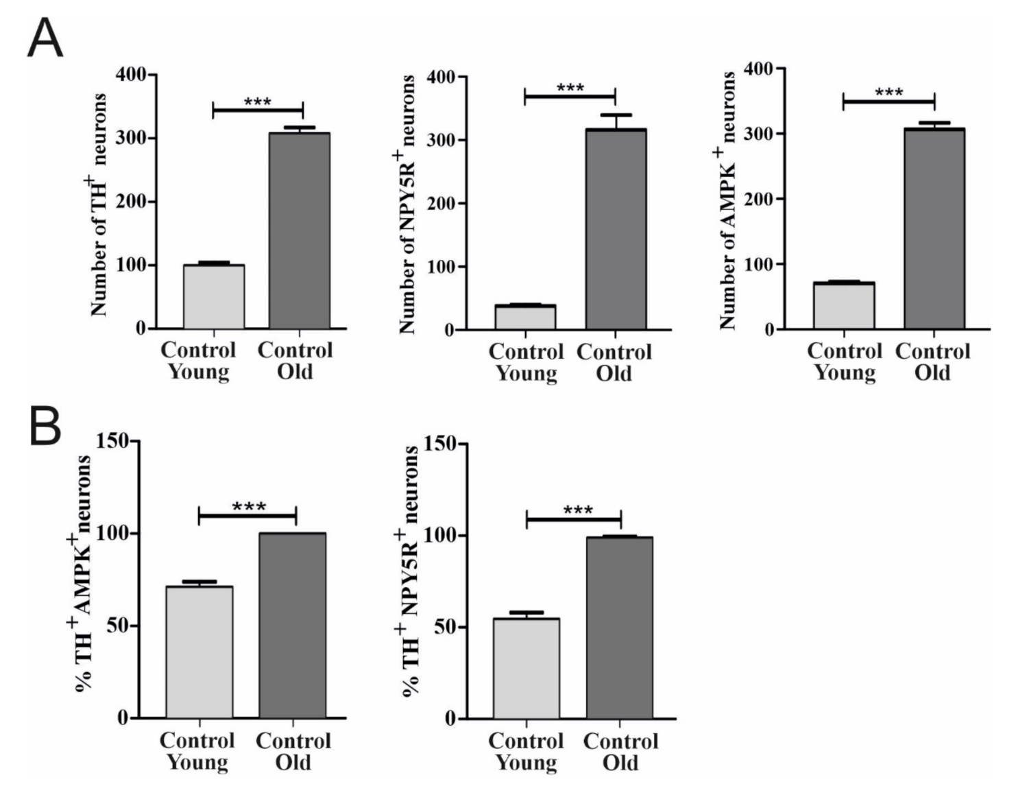 Biomolecules 12 00449 g002