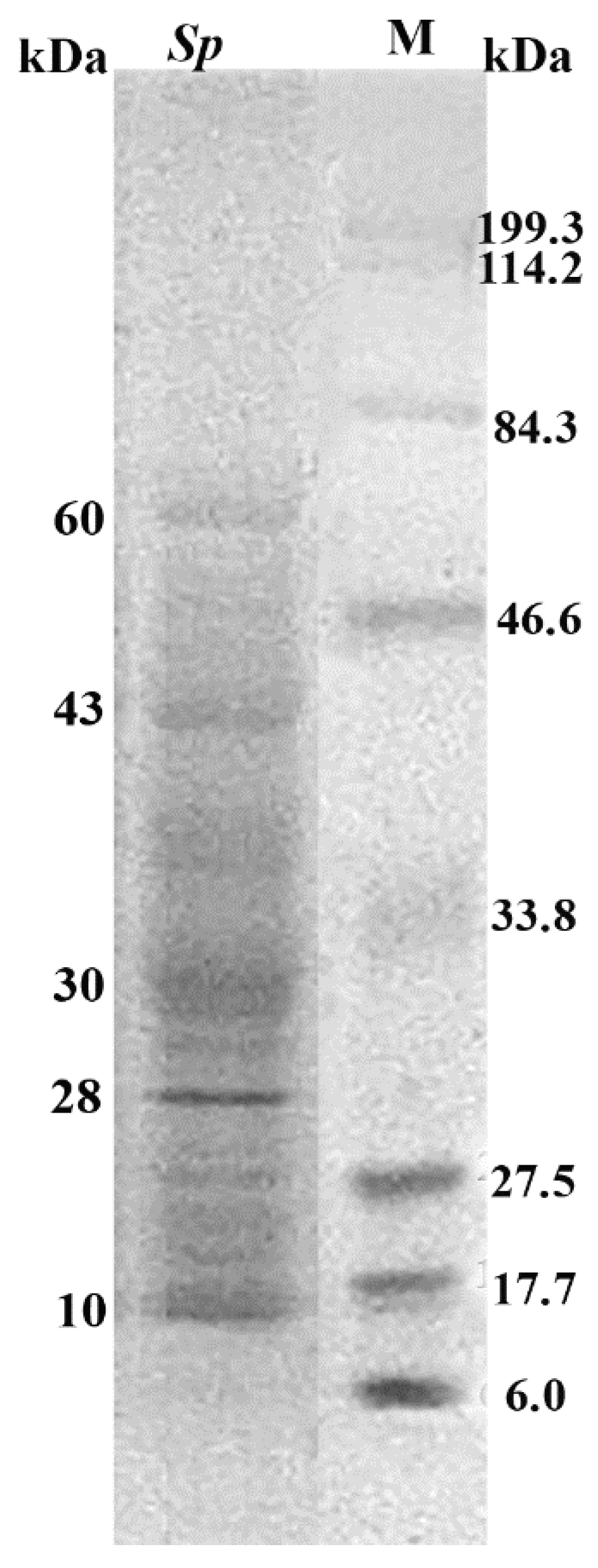Biomolecules 12 00450 g001