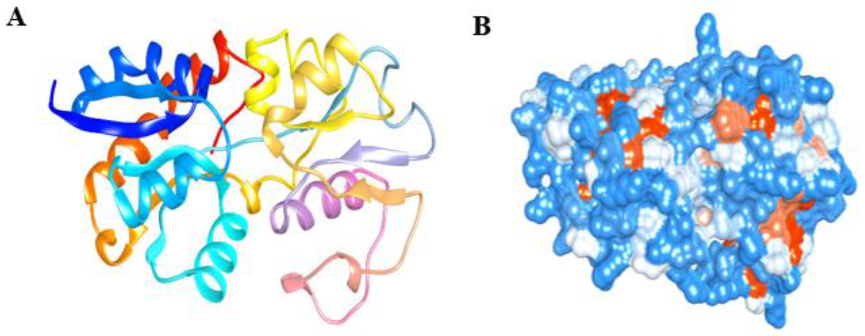 Biomolecules 12 00450 g004