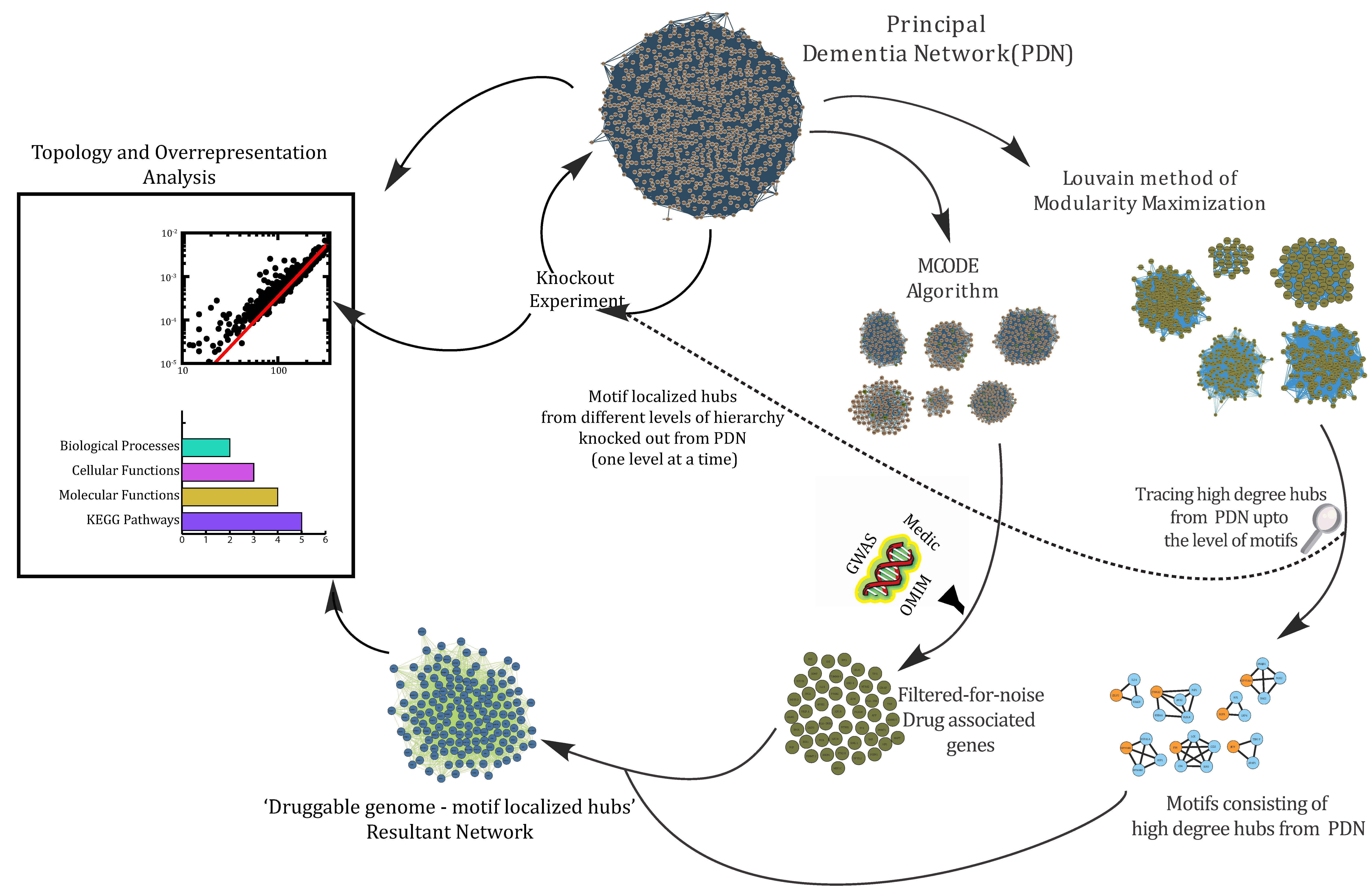 Biomolecules 12 00451 g001