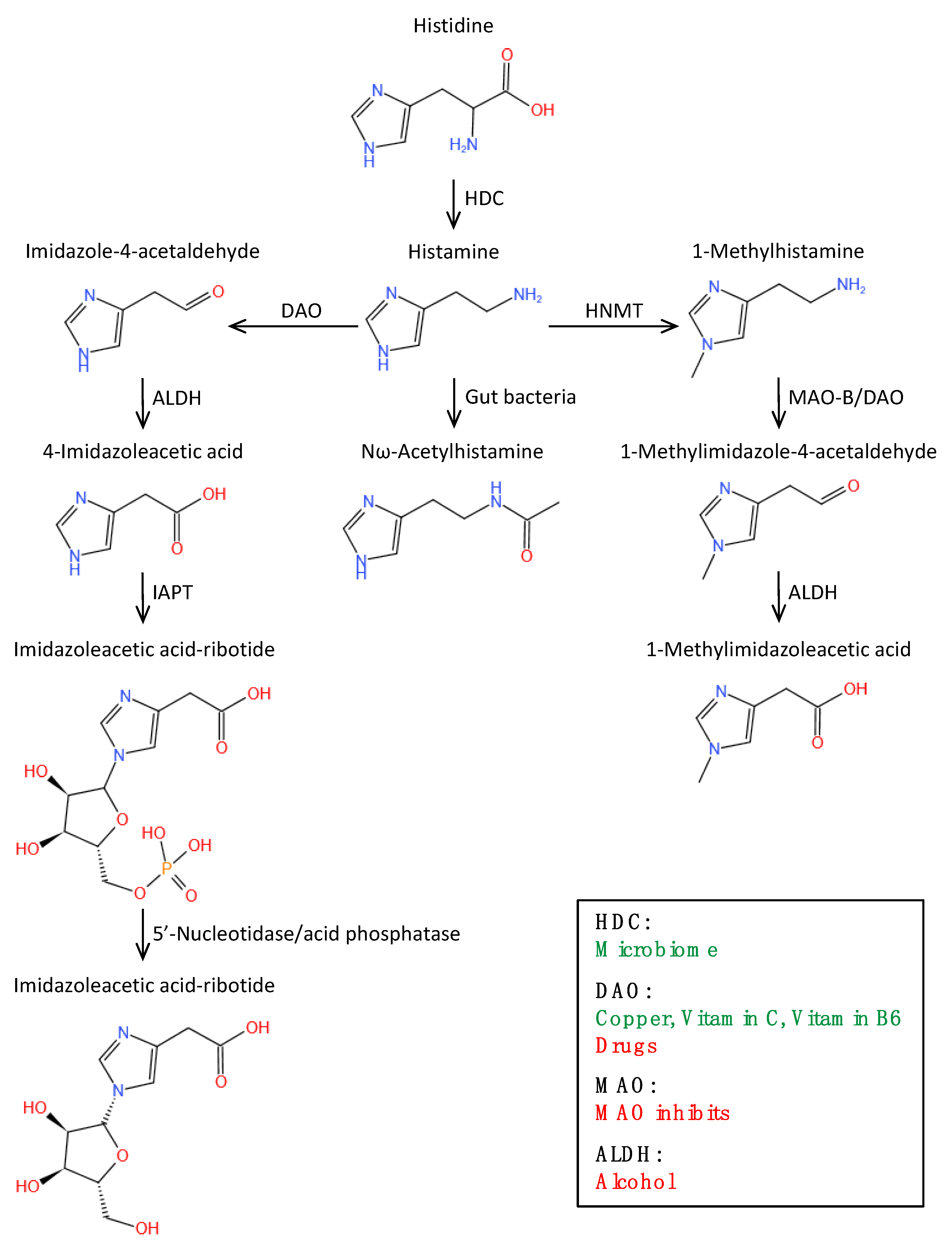 Biomolecules 12 00454 g001 Biomolecules 12 00454 g001