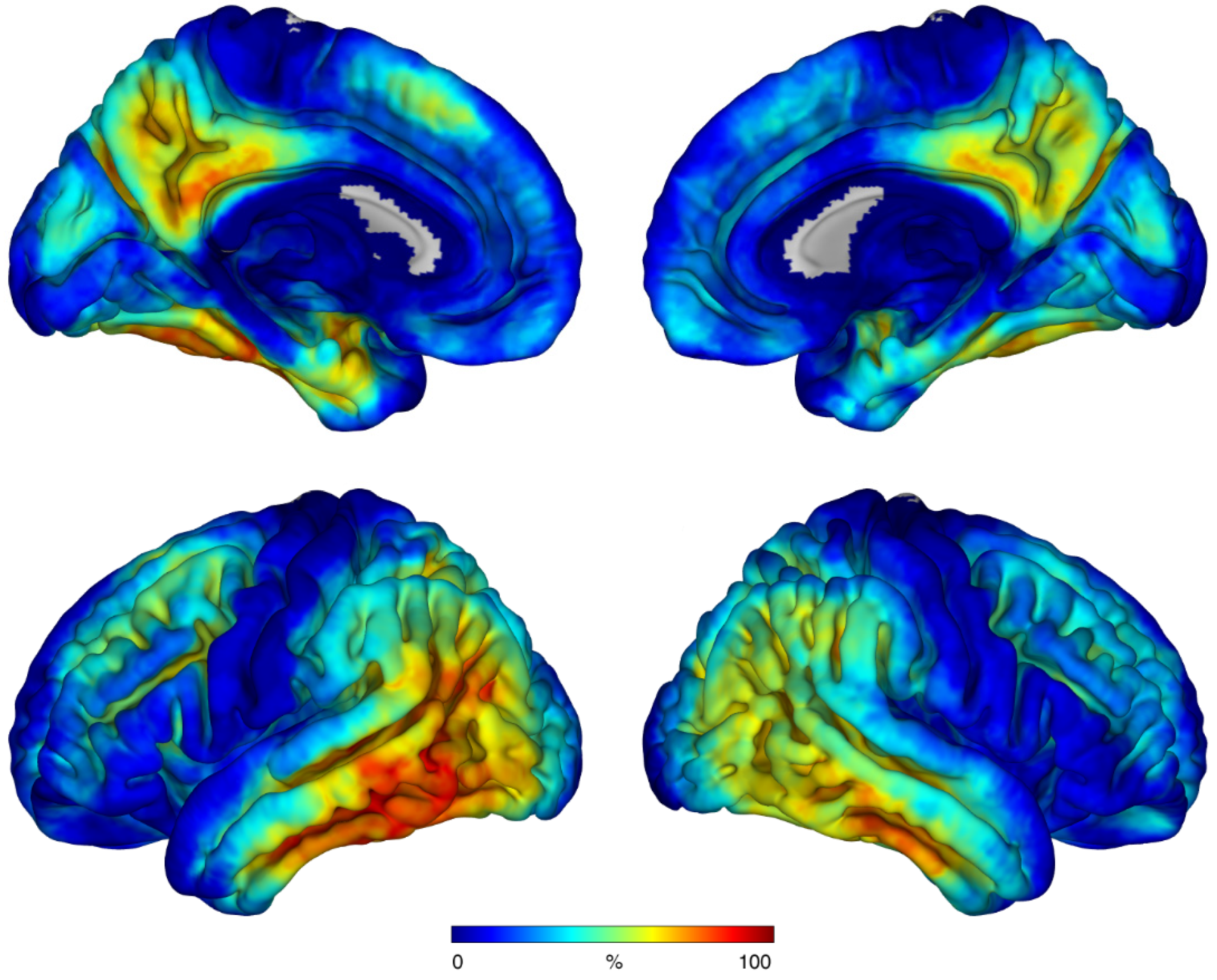 Biomolecules 12 00458 g002