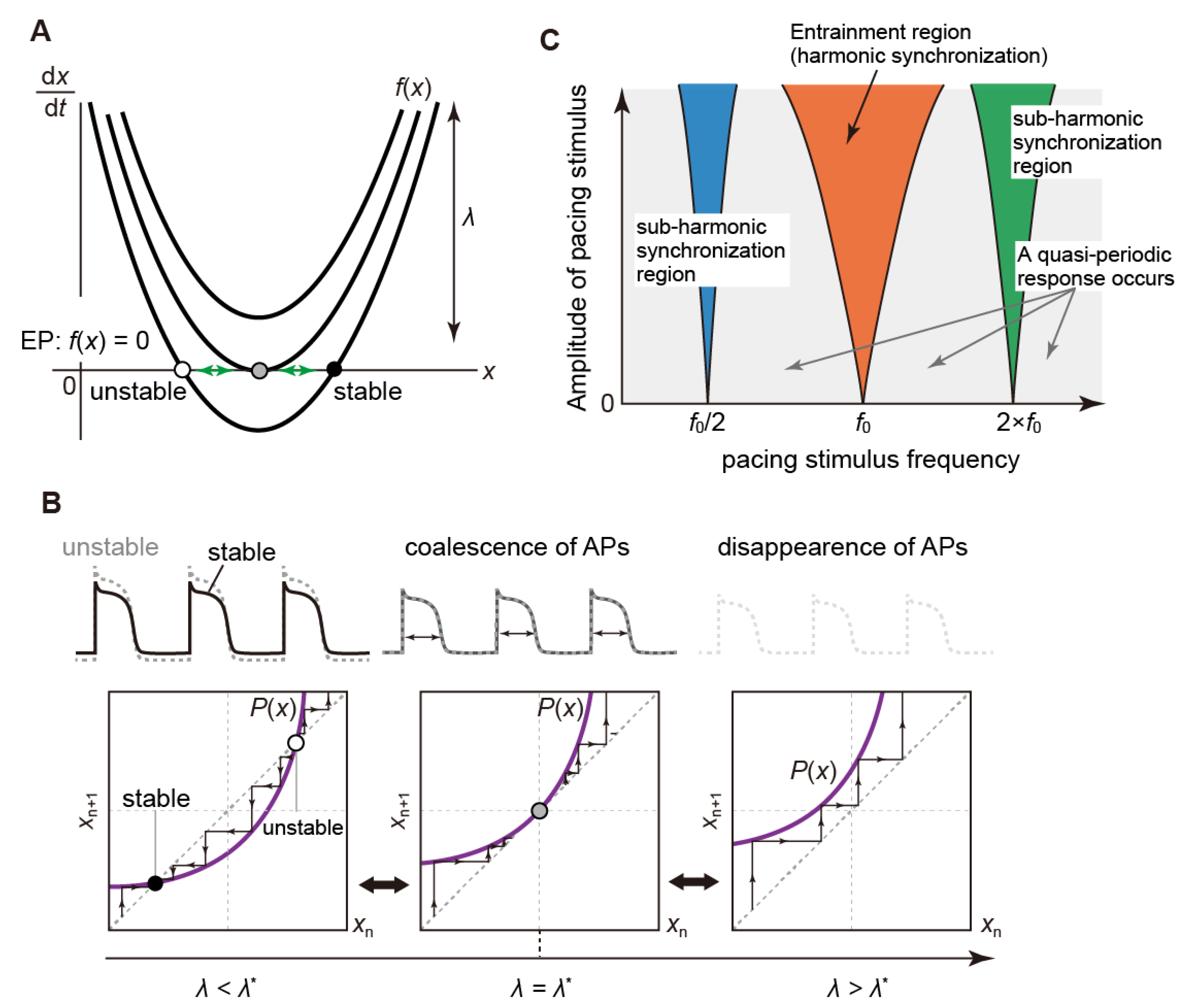 Biomolecules 12 00459 g007 Biomolecules 12 00459 g007