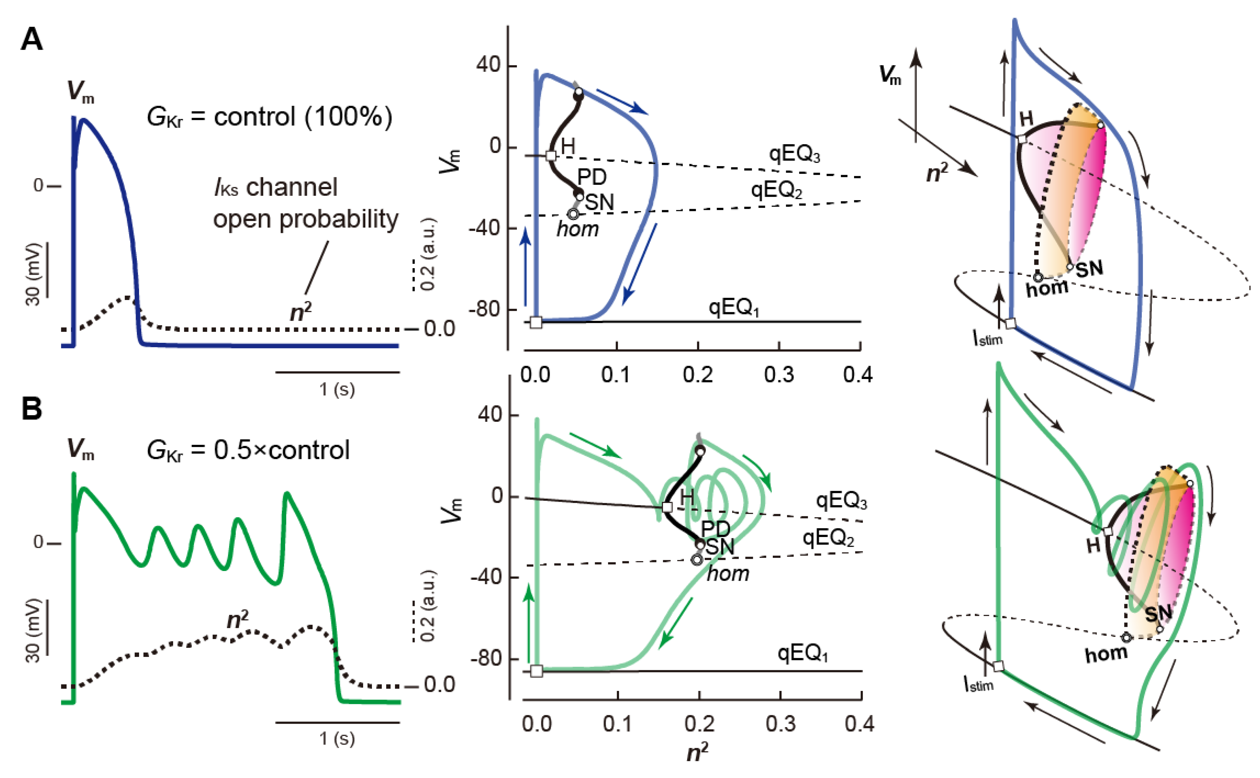 Biomolecules 12 00459 g011 Biomolecules 12 00459 g011