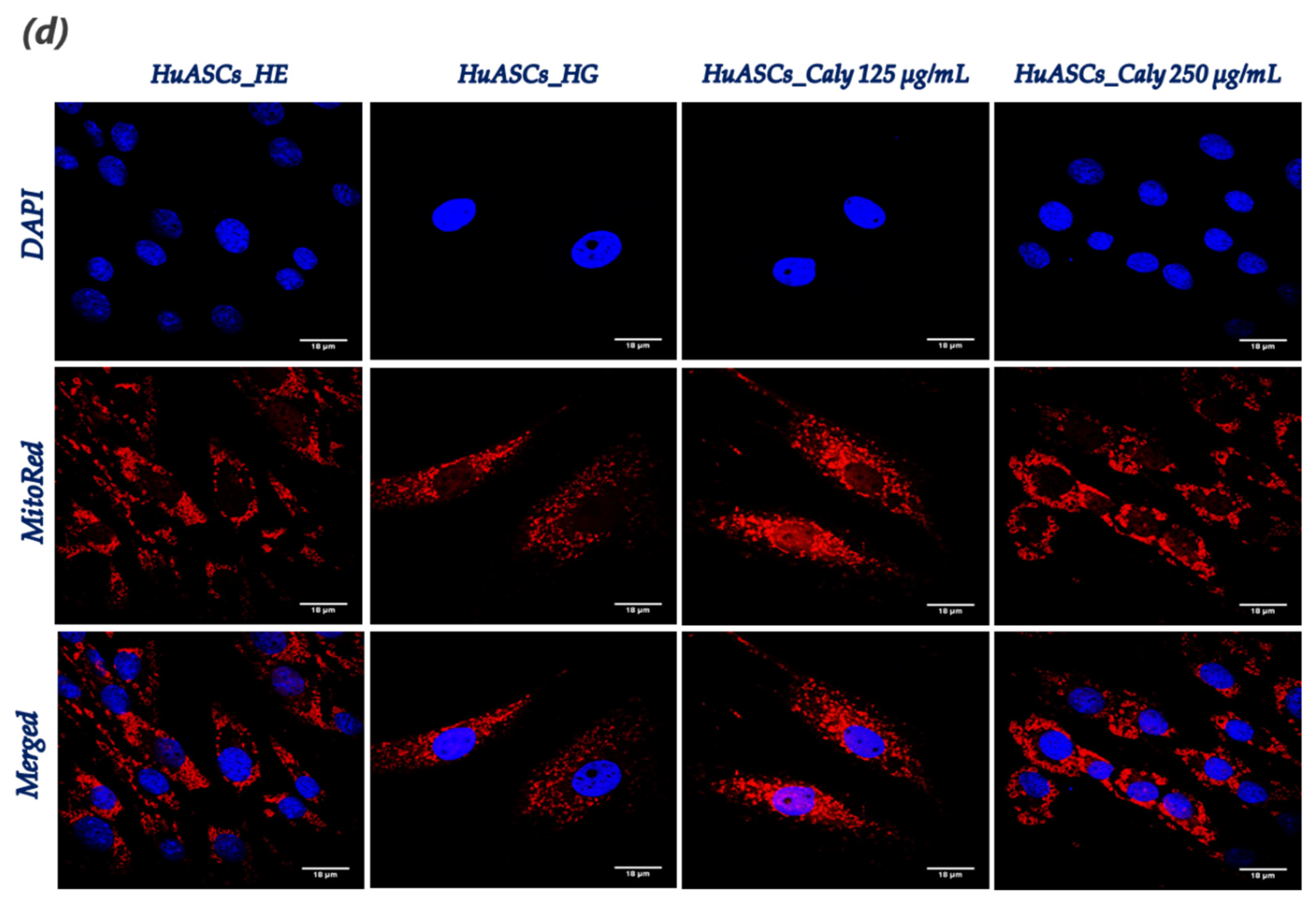 Biomolecules 12 00460 g005b