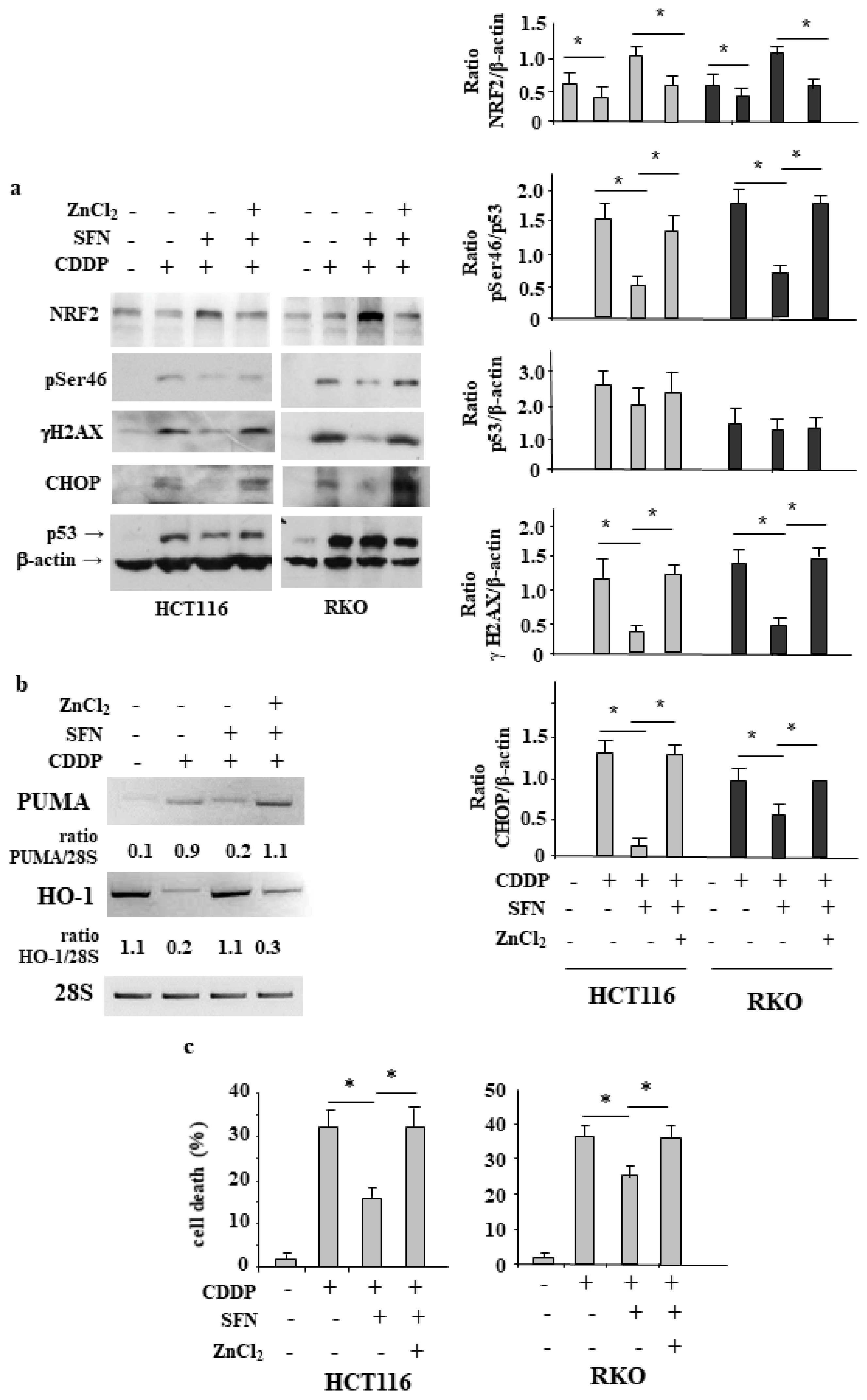 Biomolecules 12 00461 g005