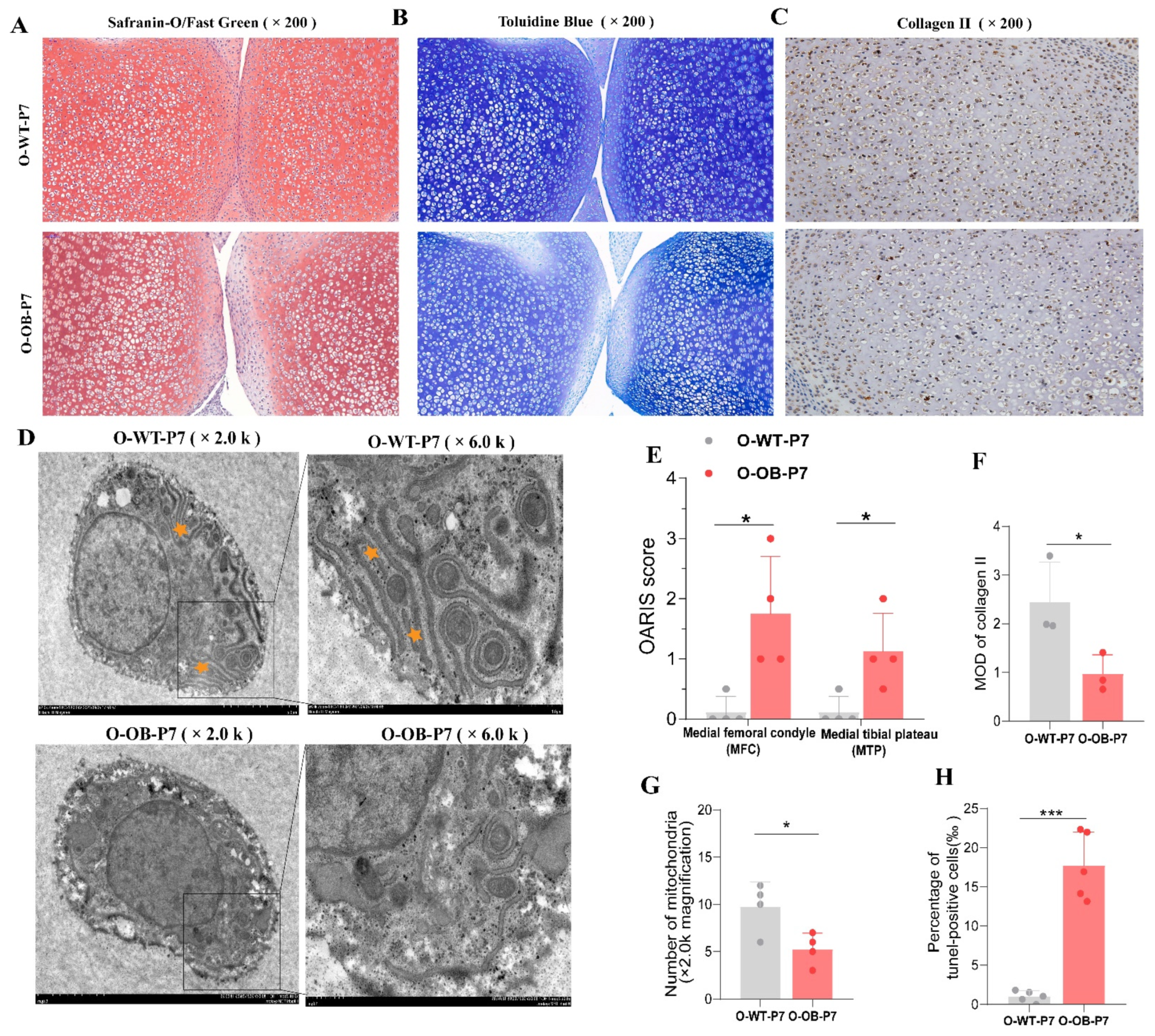 Biomolecules 12 00477 g002