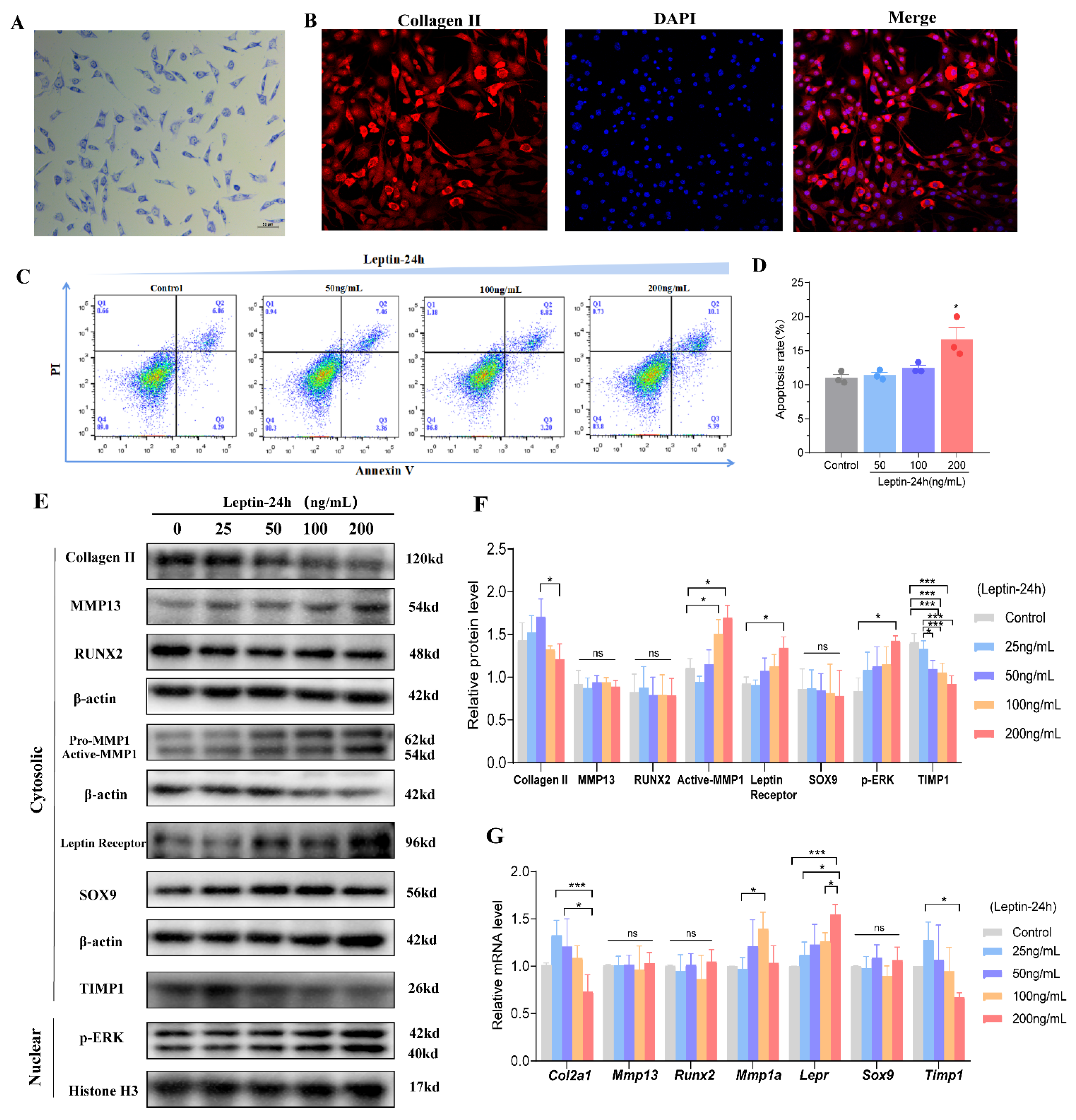 Biomolecules 12 00477 g005