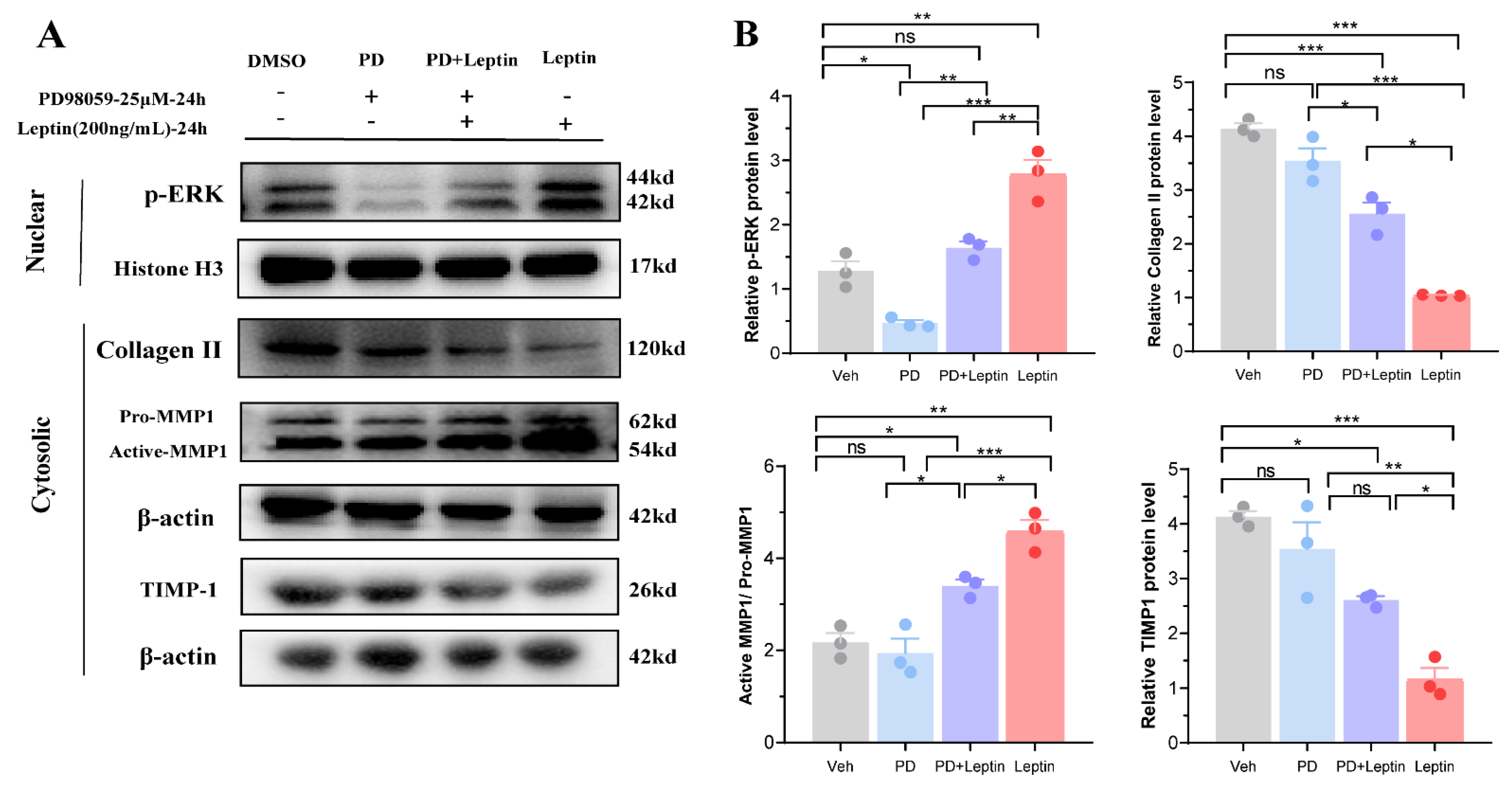 Biomolecules 12 00477 g006