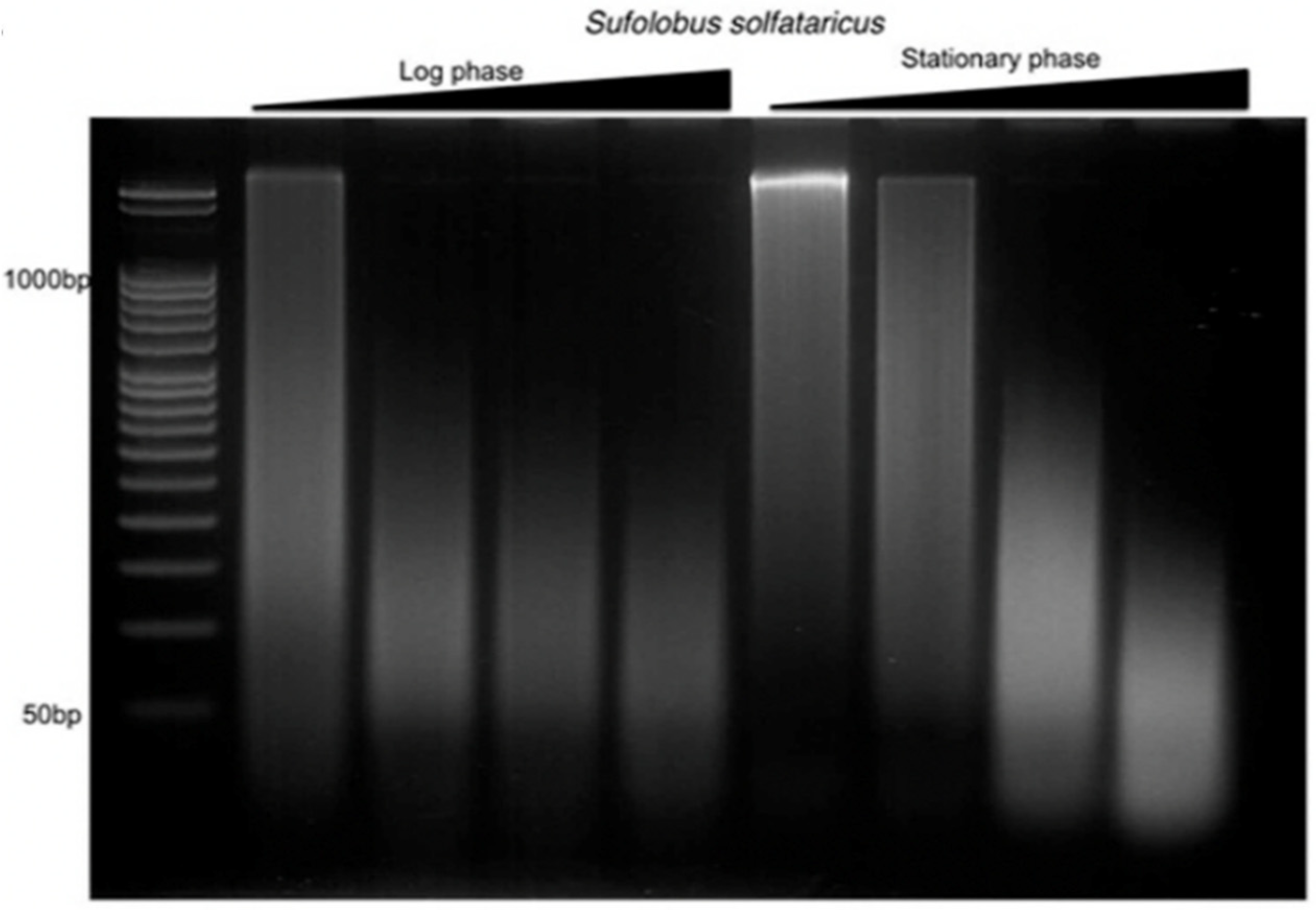 Biomolecules 12 00481 g001