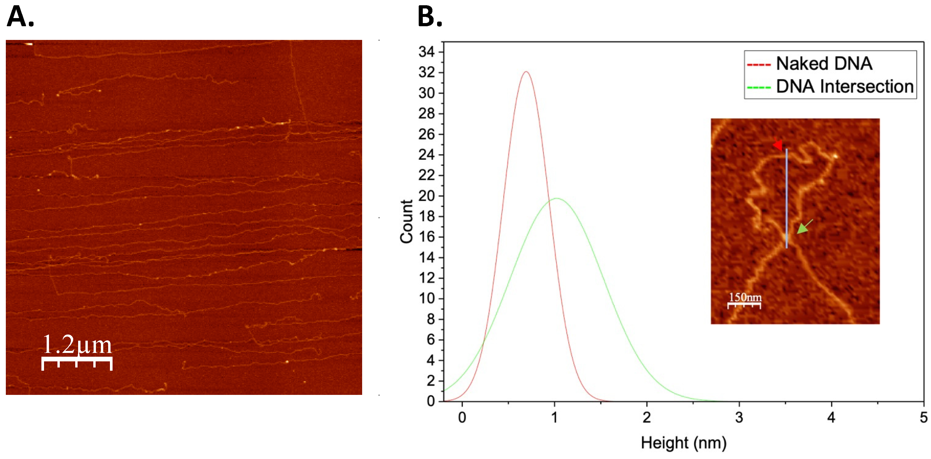 Biomolecules 12 00481 g004