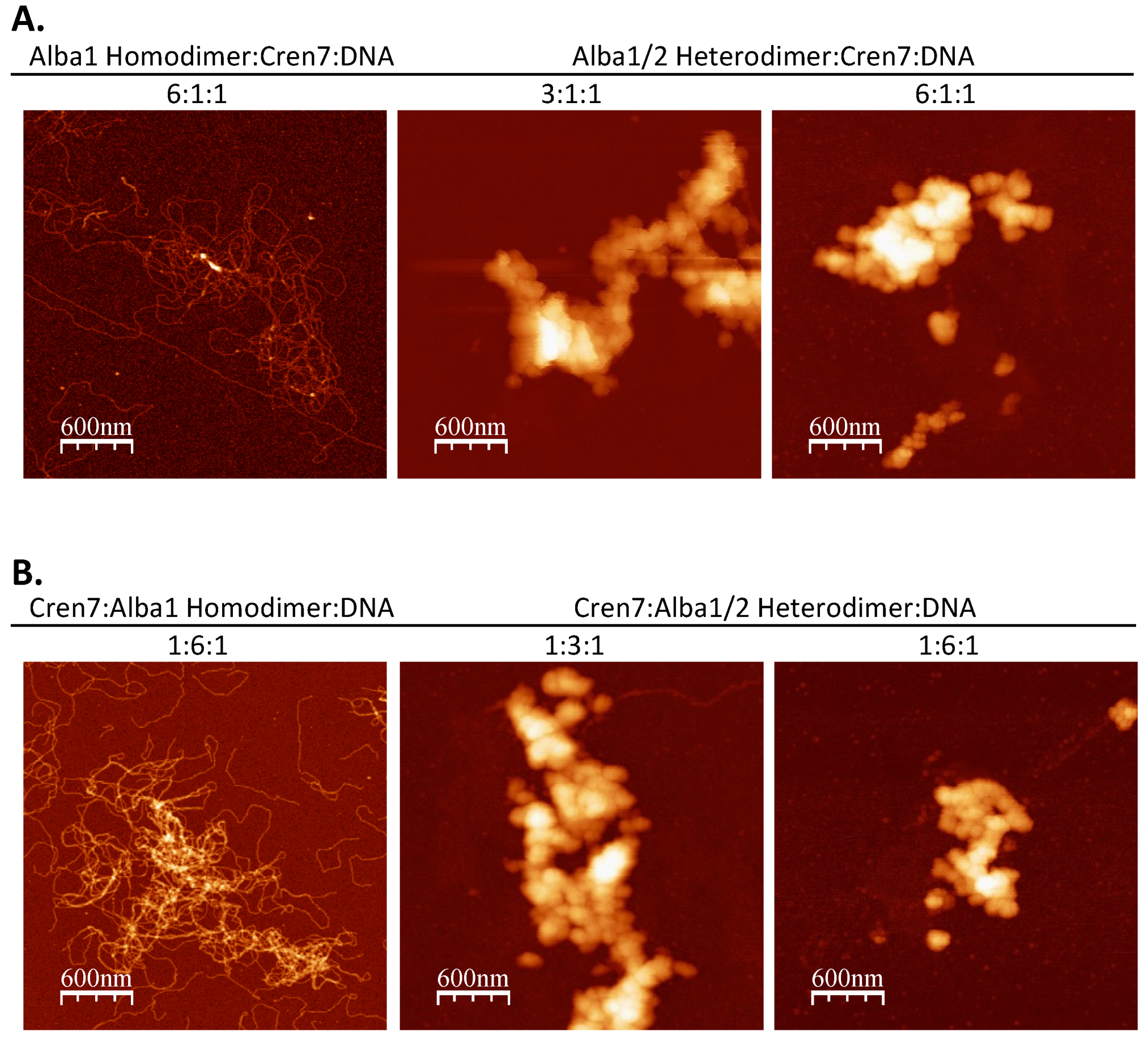 Biomolecules 12 00481 g006