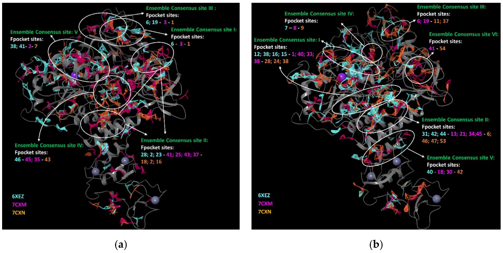 Biomolecules 12 00482 g002