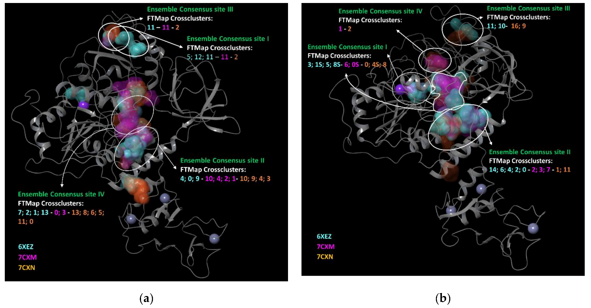 Biomolecules 12 00482 g003