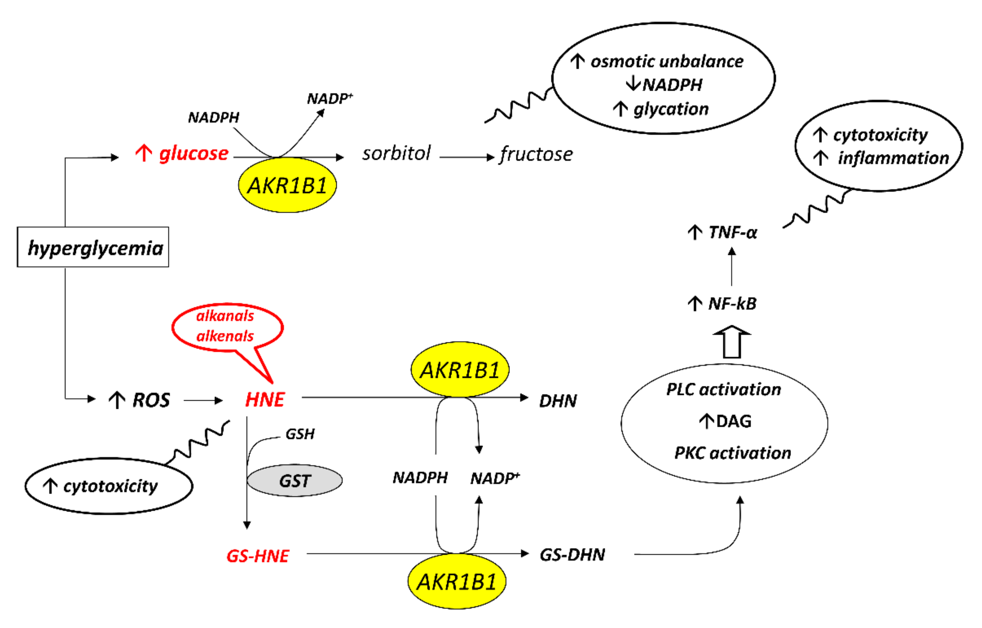 Biomolecules 12 00485 g001 Biomolecules 12 00485 g001