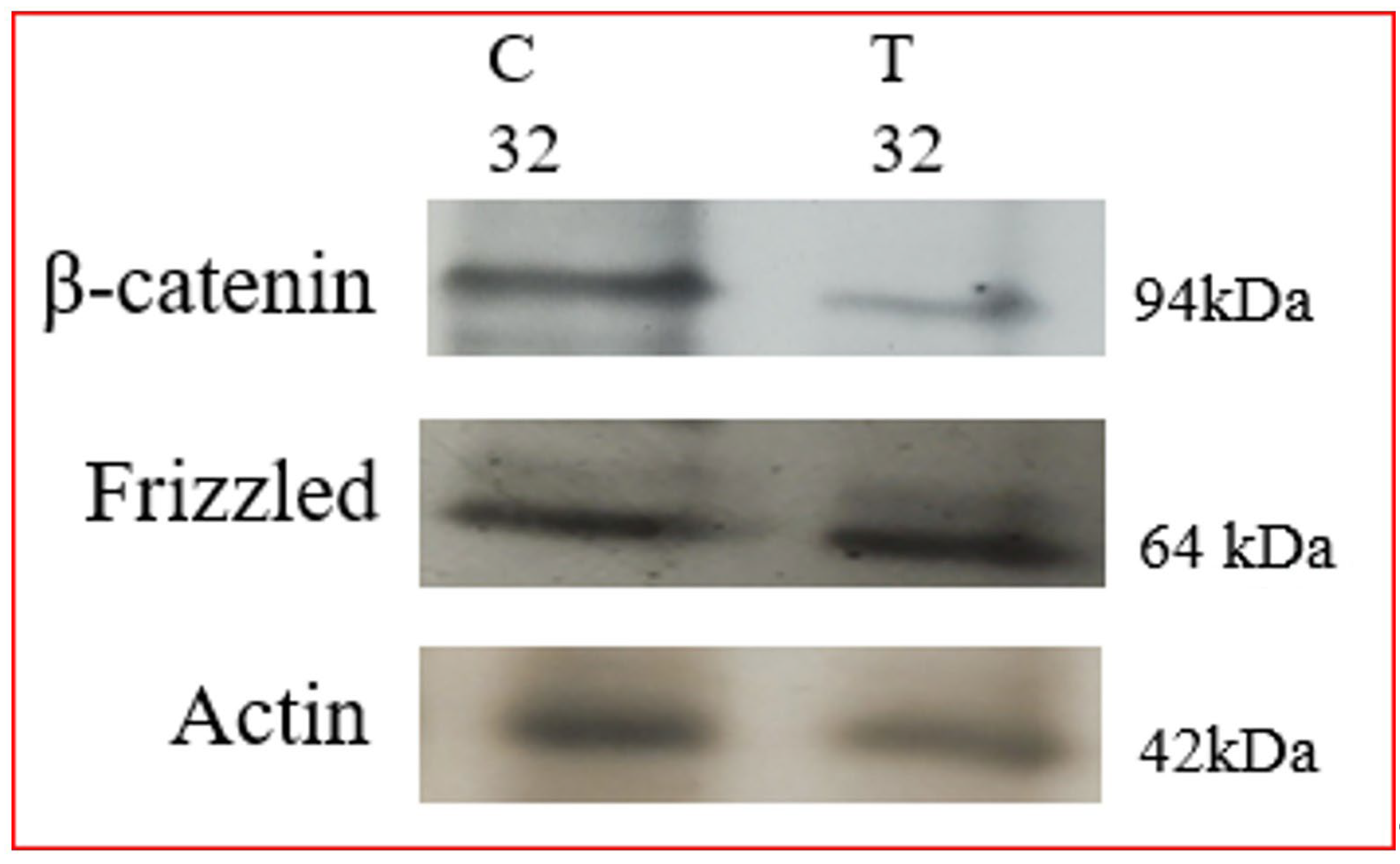 Biomolecules 12 00487 g005 Biomolecules 12 00487 g005