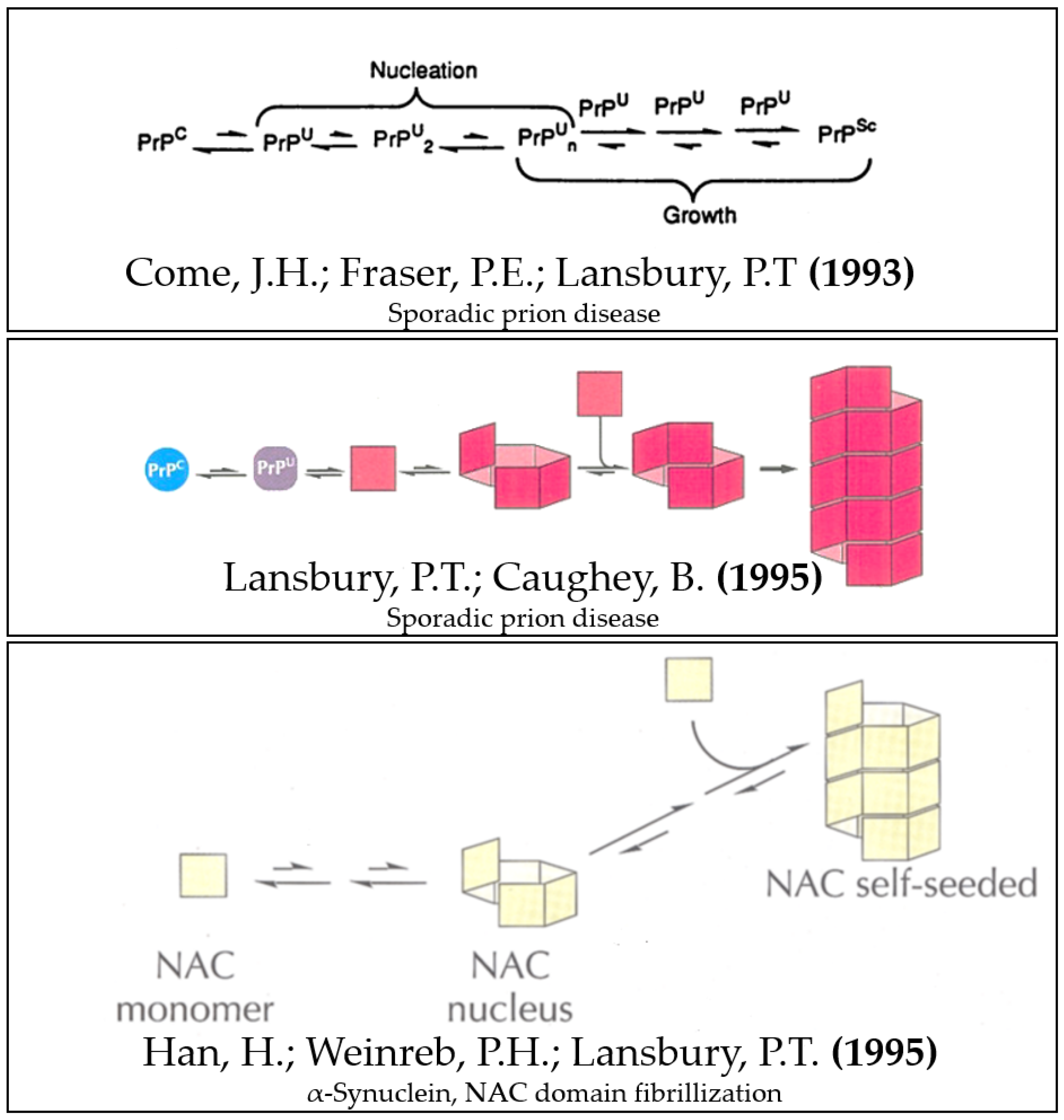 Biomolecules 12 00494 g001