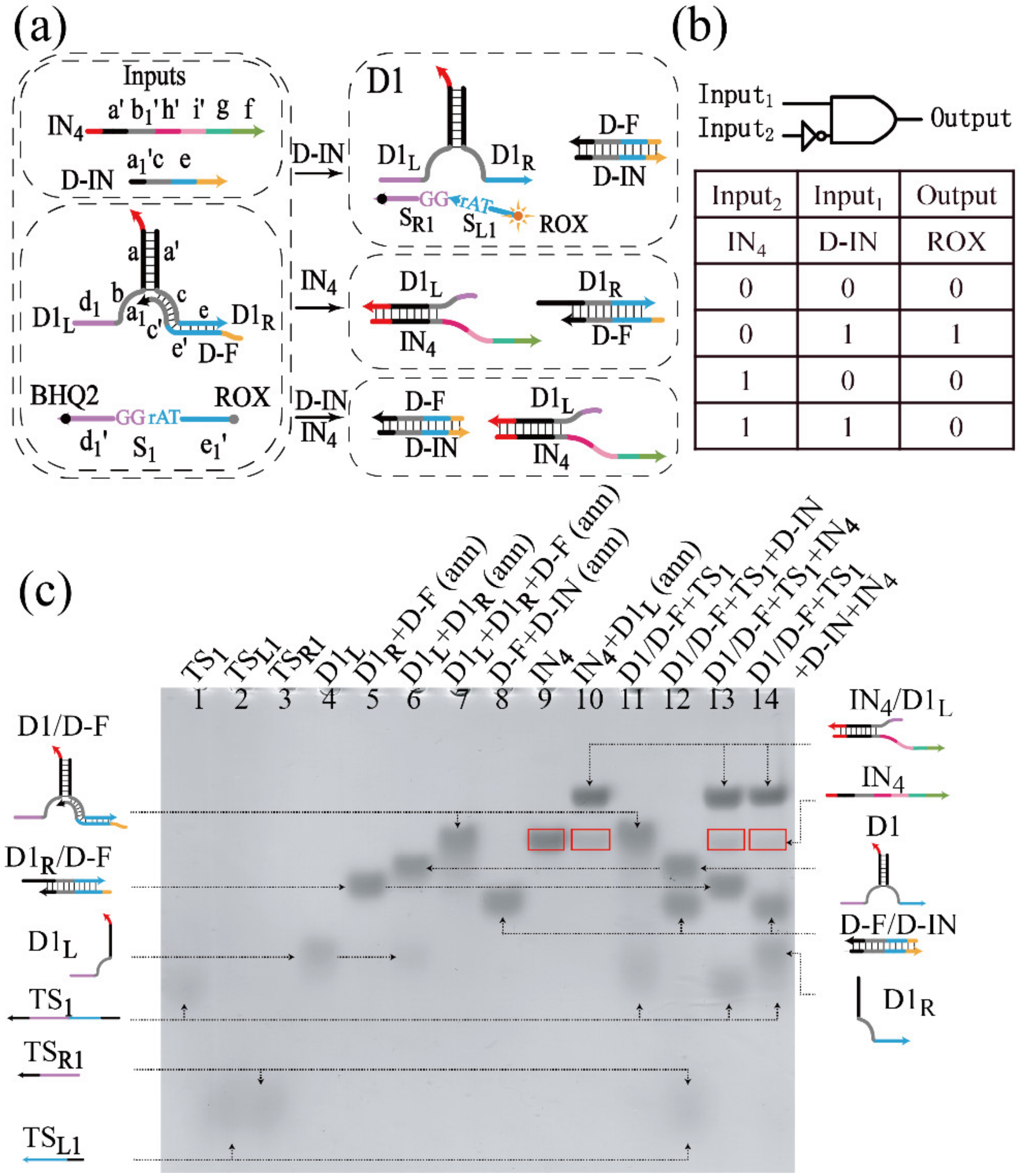 Biomolecules 12 00495 g001