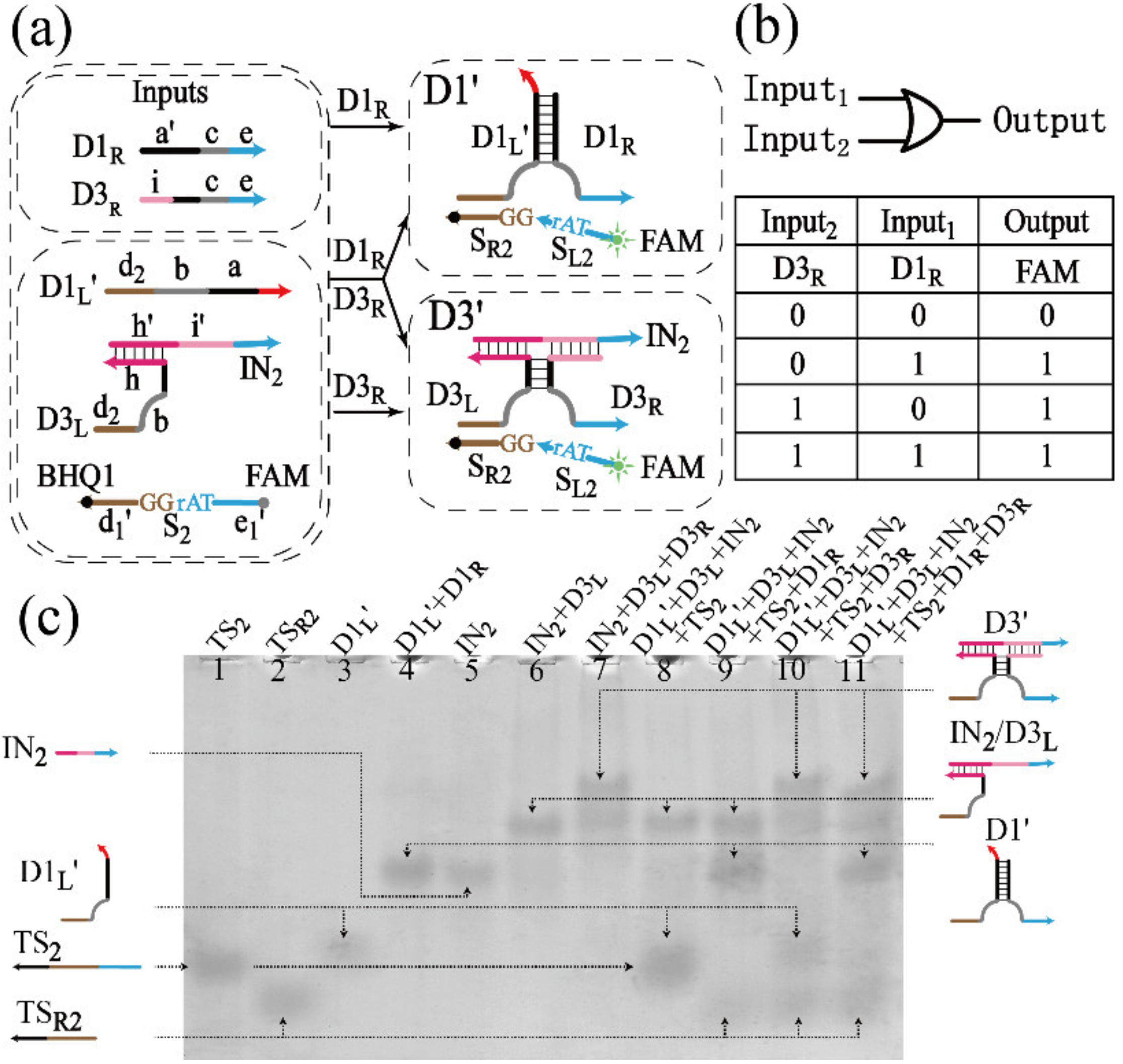 Biomolecules 12 00495 g002