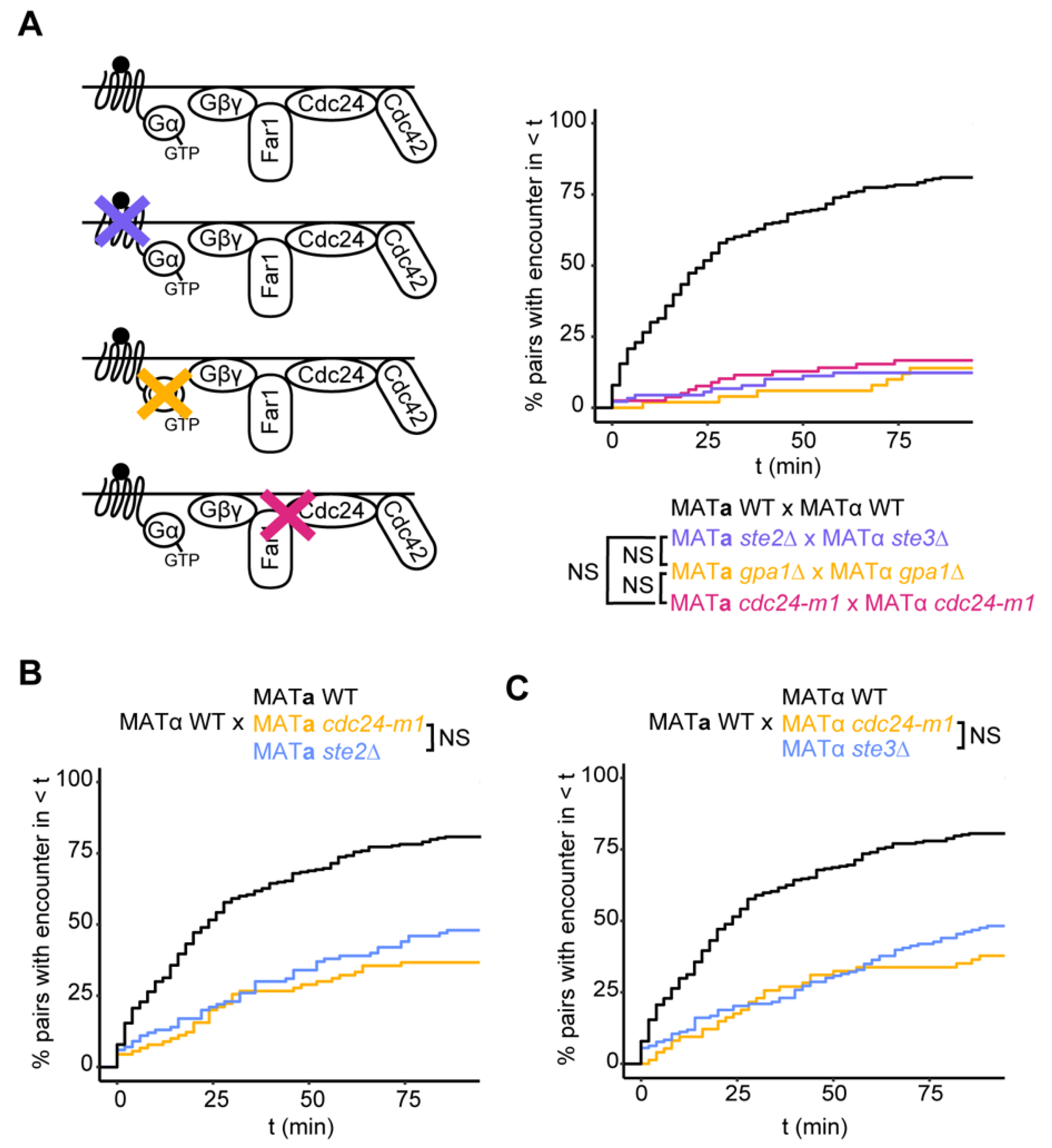 Biomolecules 12 00502 g004