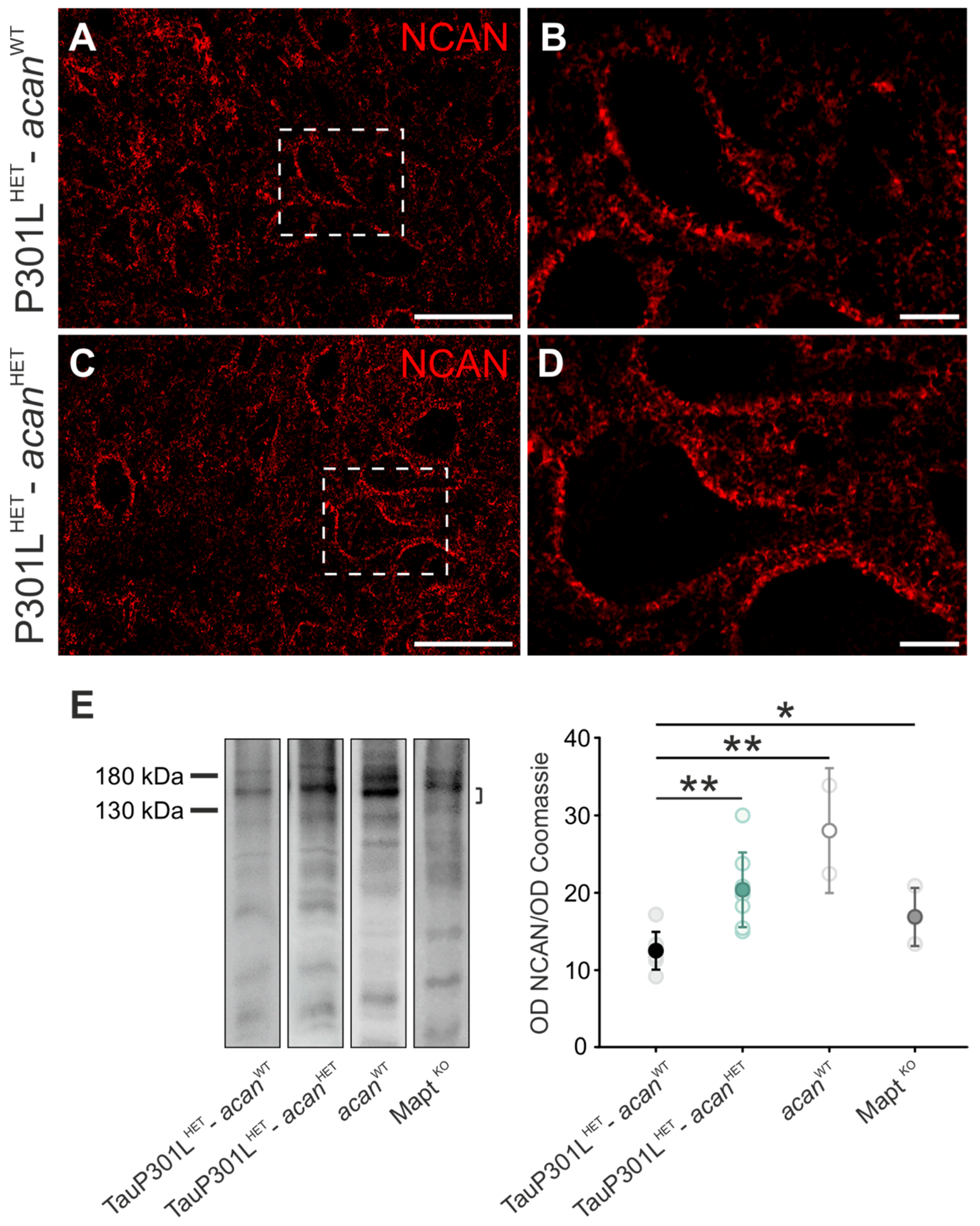 Biomolecules 12 00505 g002 Biomolecules 12 00505 g002