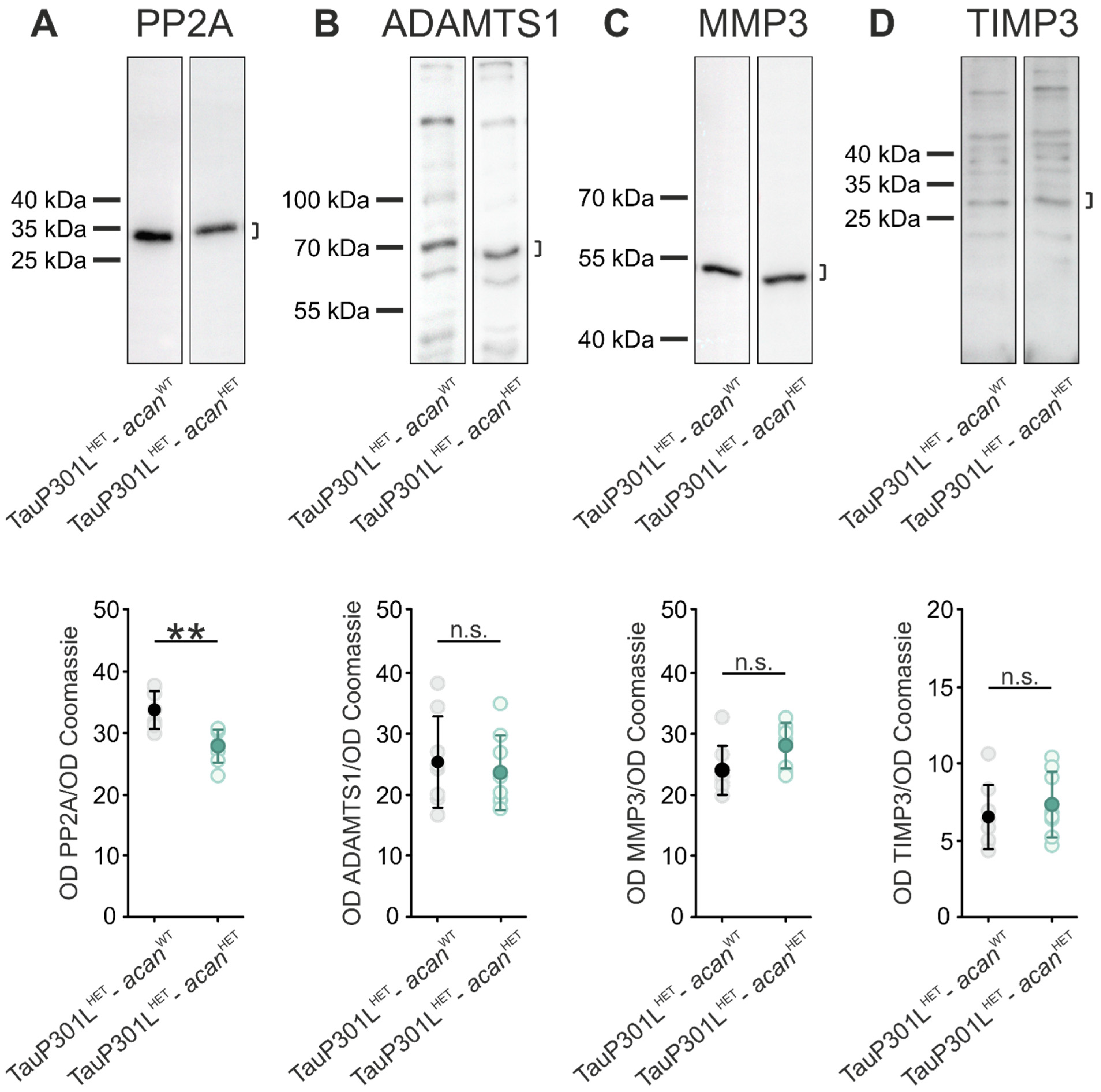 Biomolecules 12 00505 g005 Biomolecules 12 00505 g005