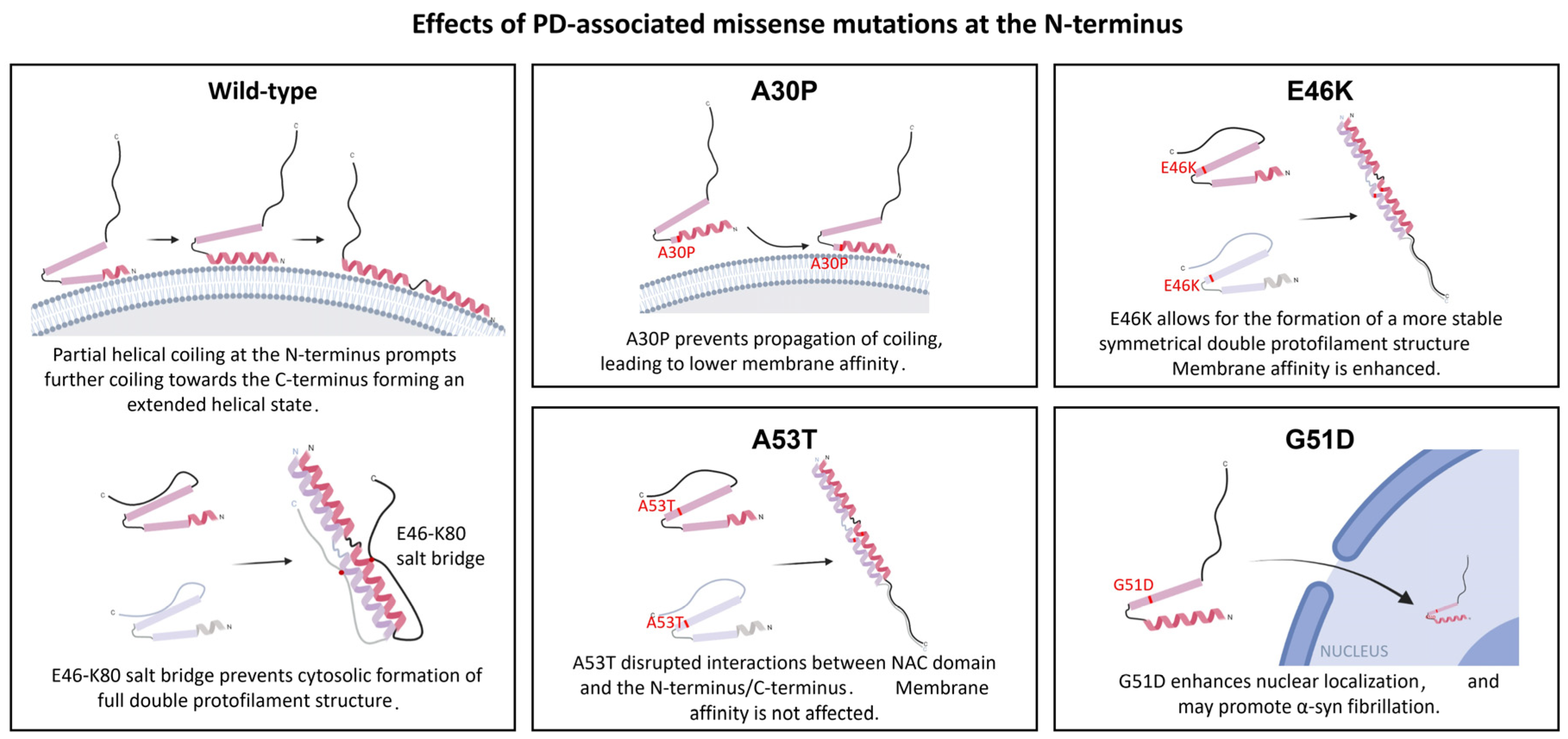 Biomolecules 12 00507 g001