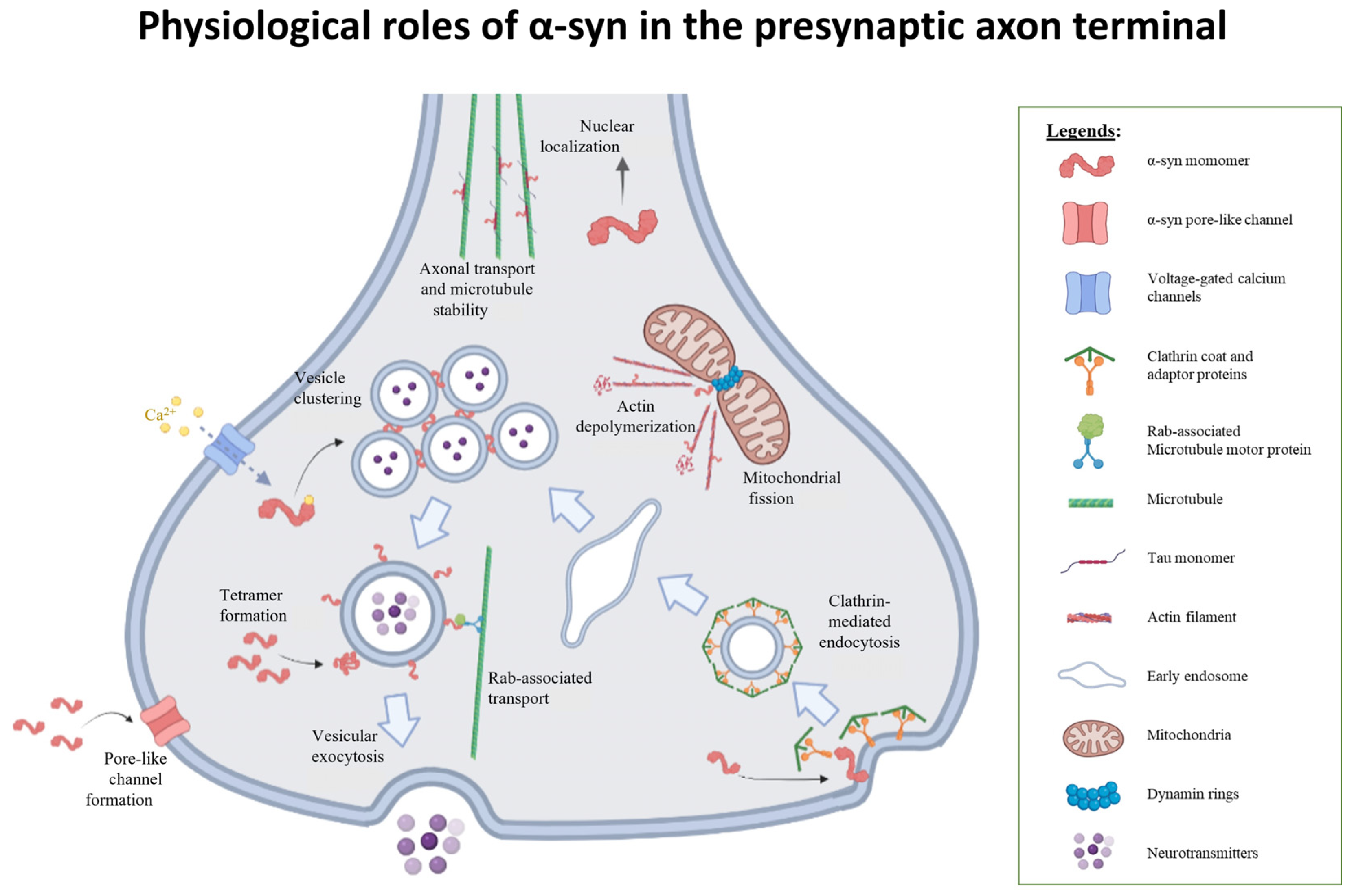 Biomolecules 12 00507 g002