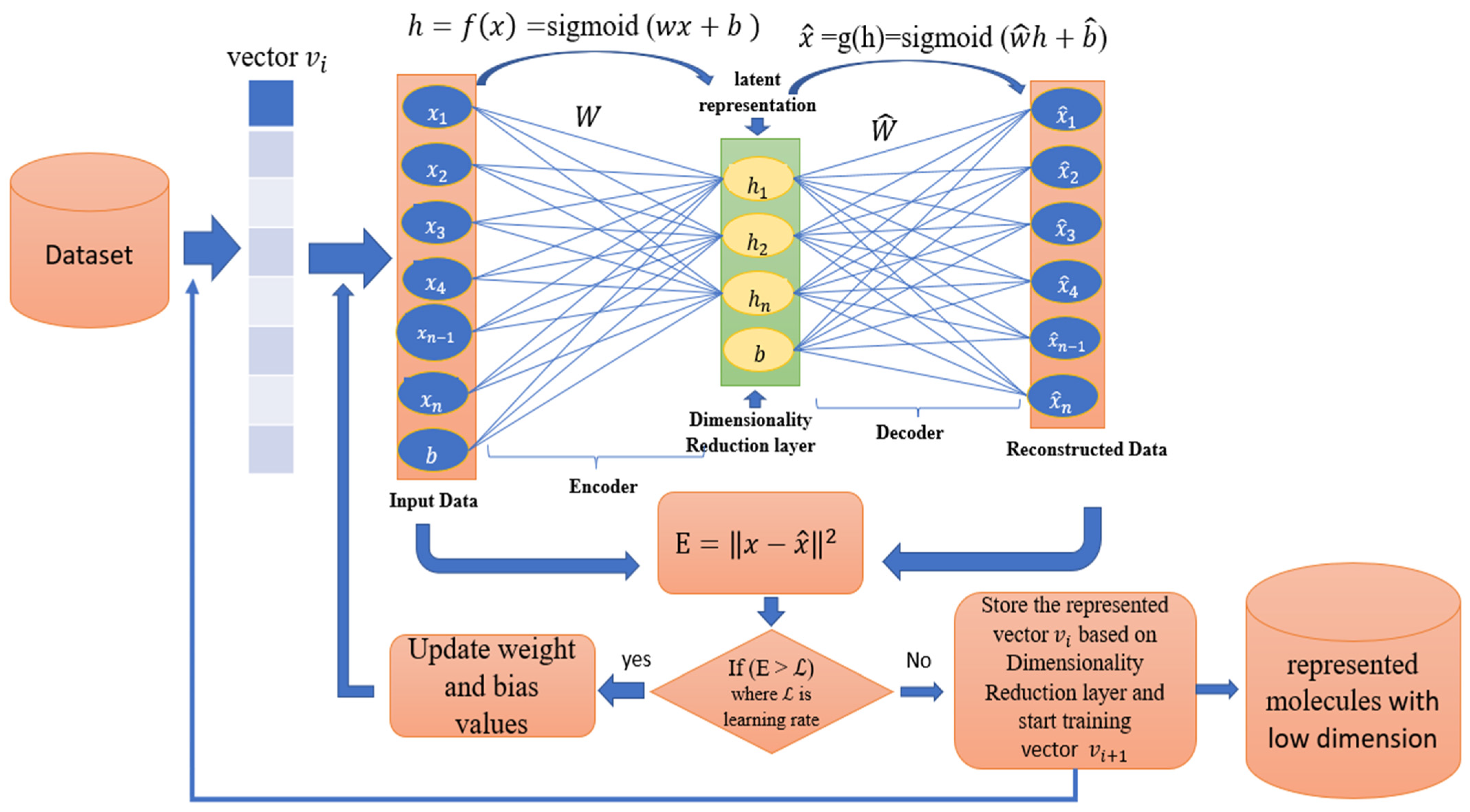 Biomolecules 12 00508 g003 Biomolecules 12 00508 g003