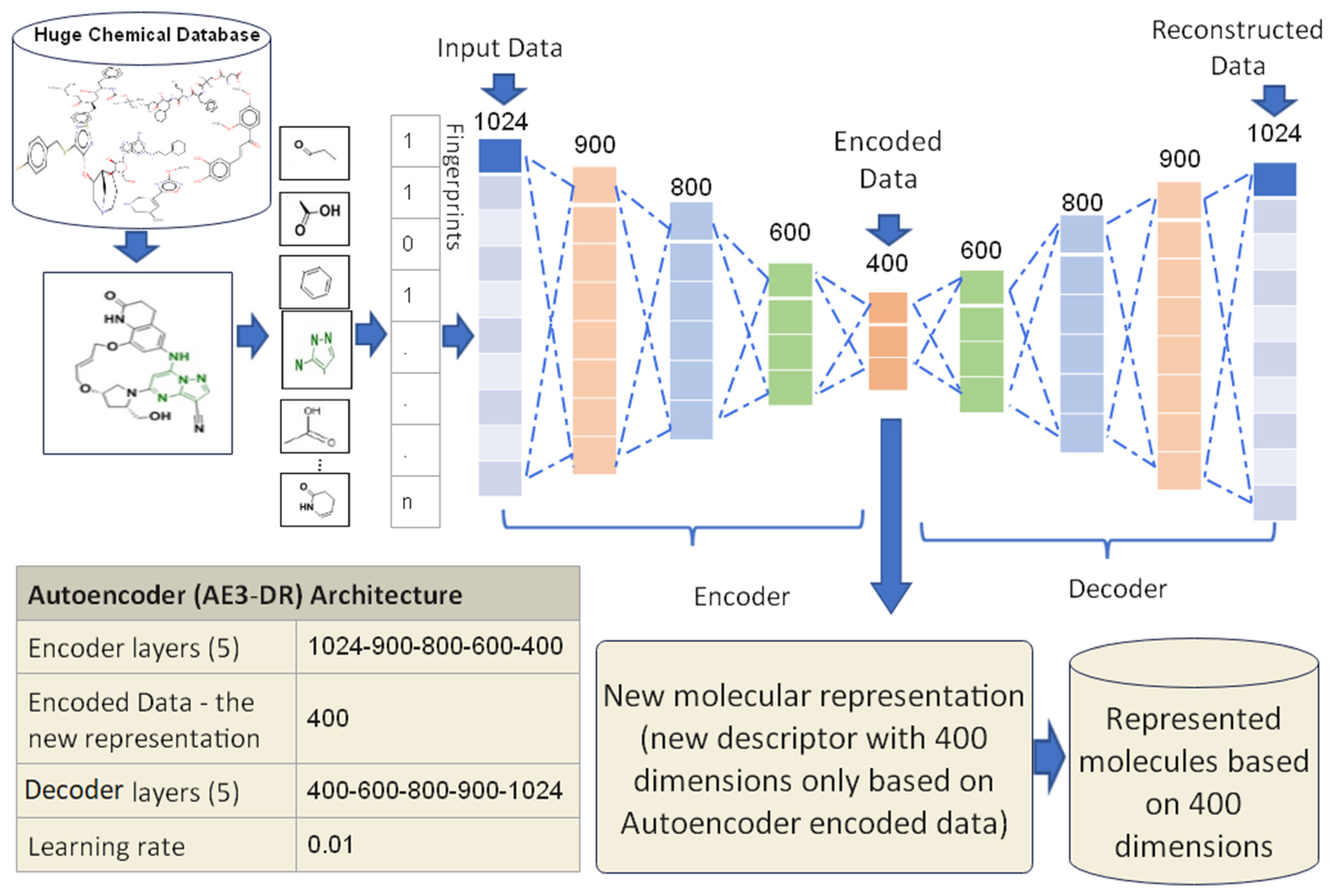 Biomolecules 12 00508 g006 Biomolecules 12 00508 g006