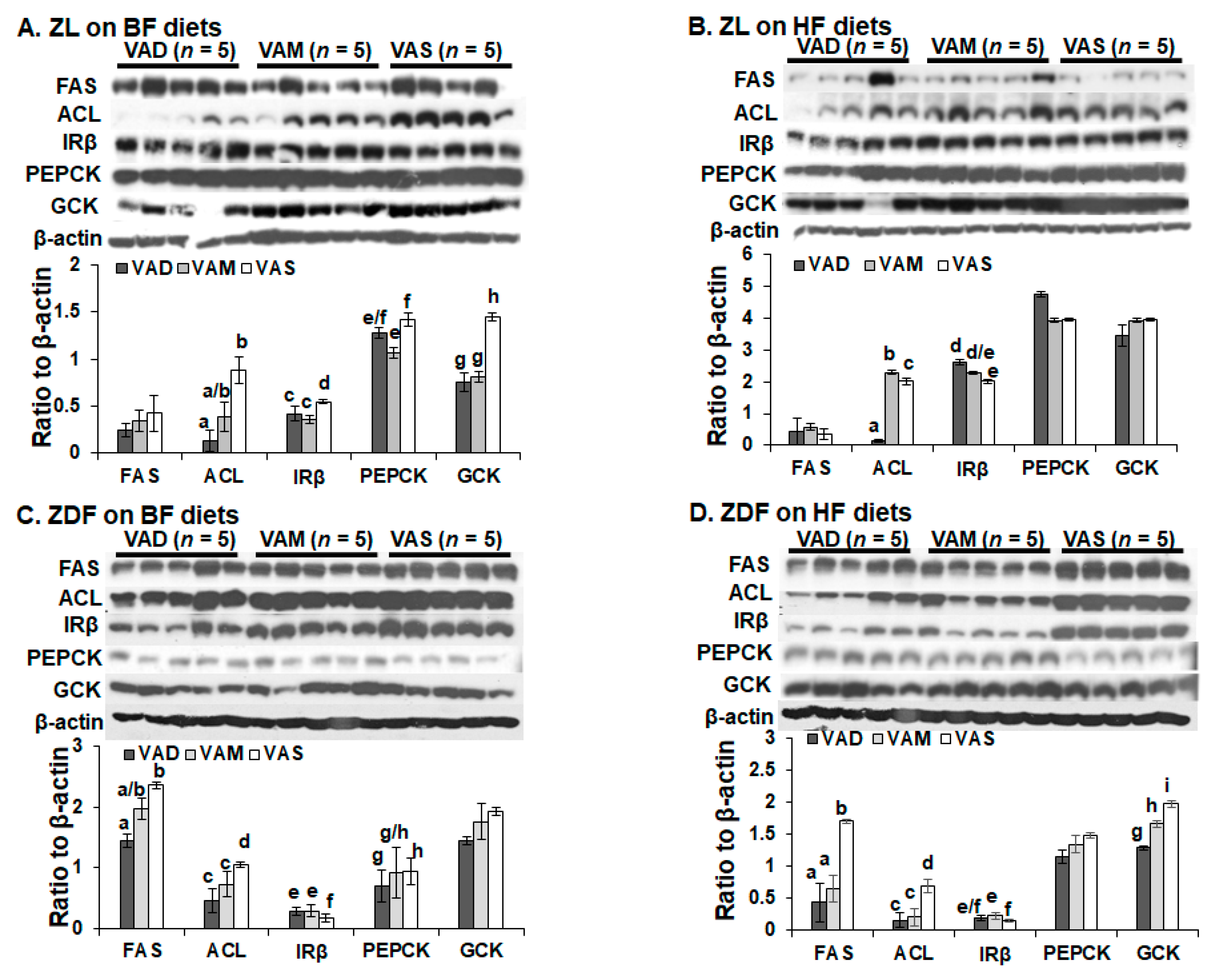 Biomolecules 12 00528 g009 Biomolecules 12 00528 g009