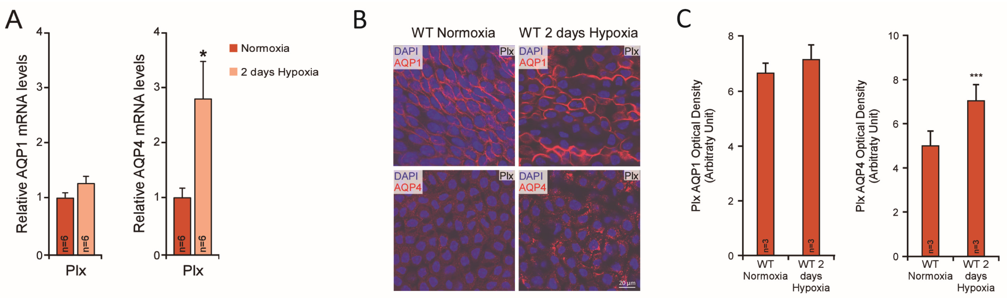Biomolecules 12 00530 g003