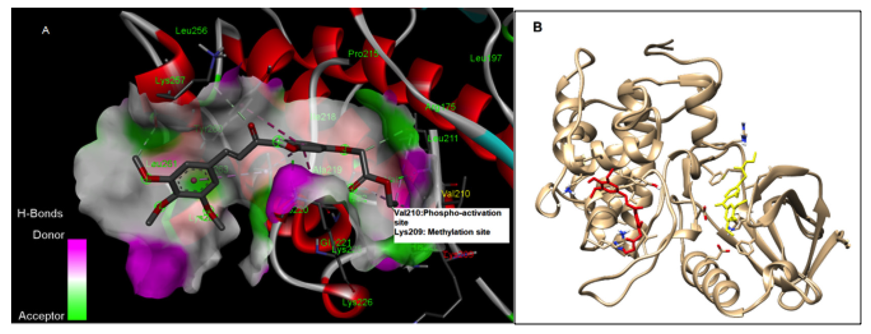 Biomolecules 12 00531 g002