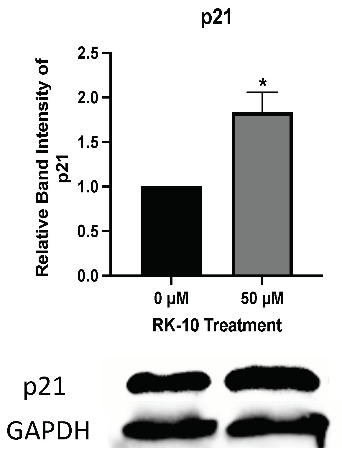 Biomolecules 12 00531 g008