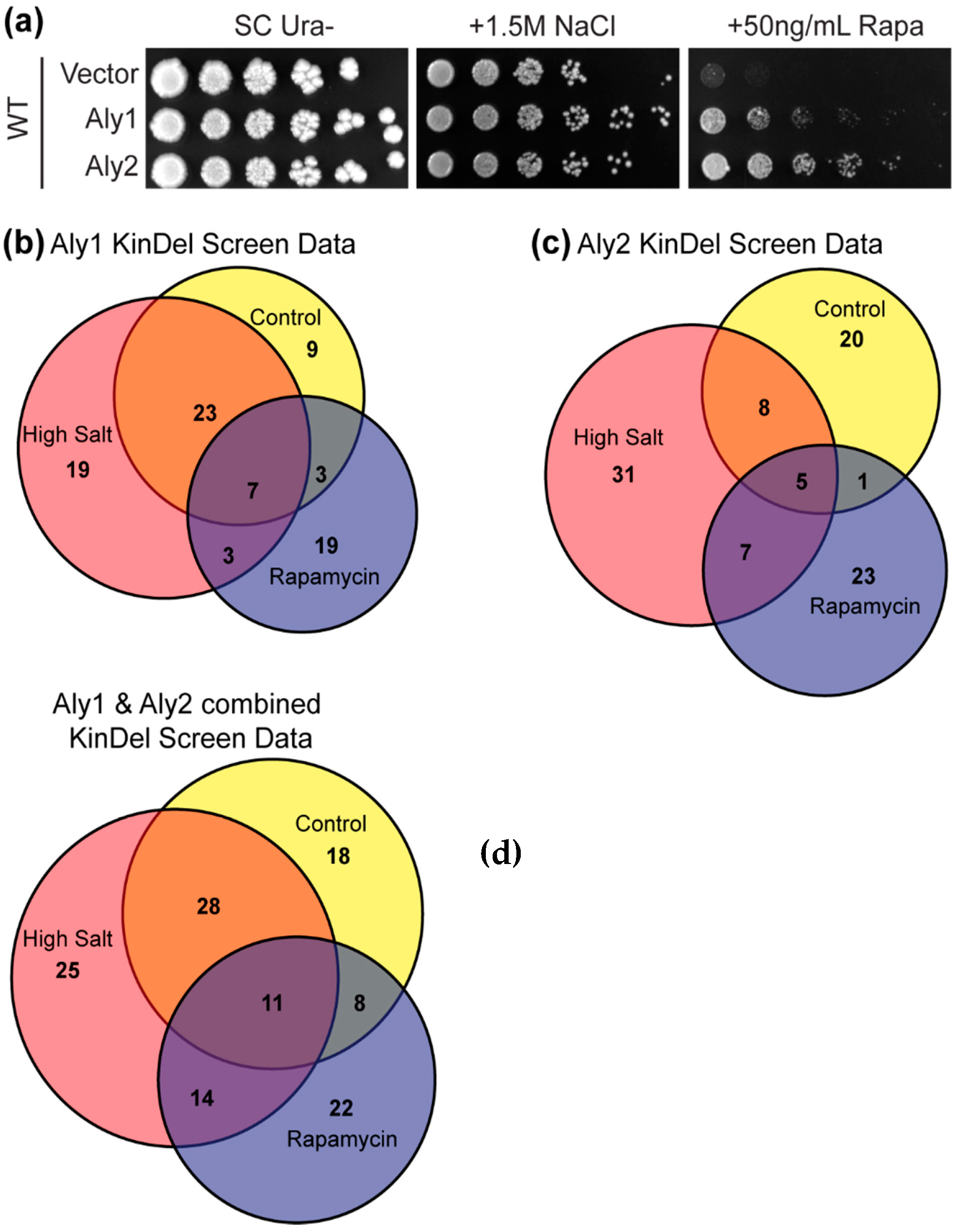 Biomolecules 12 00533 g001