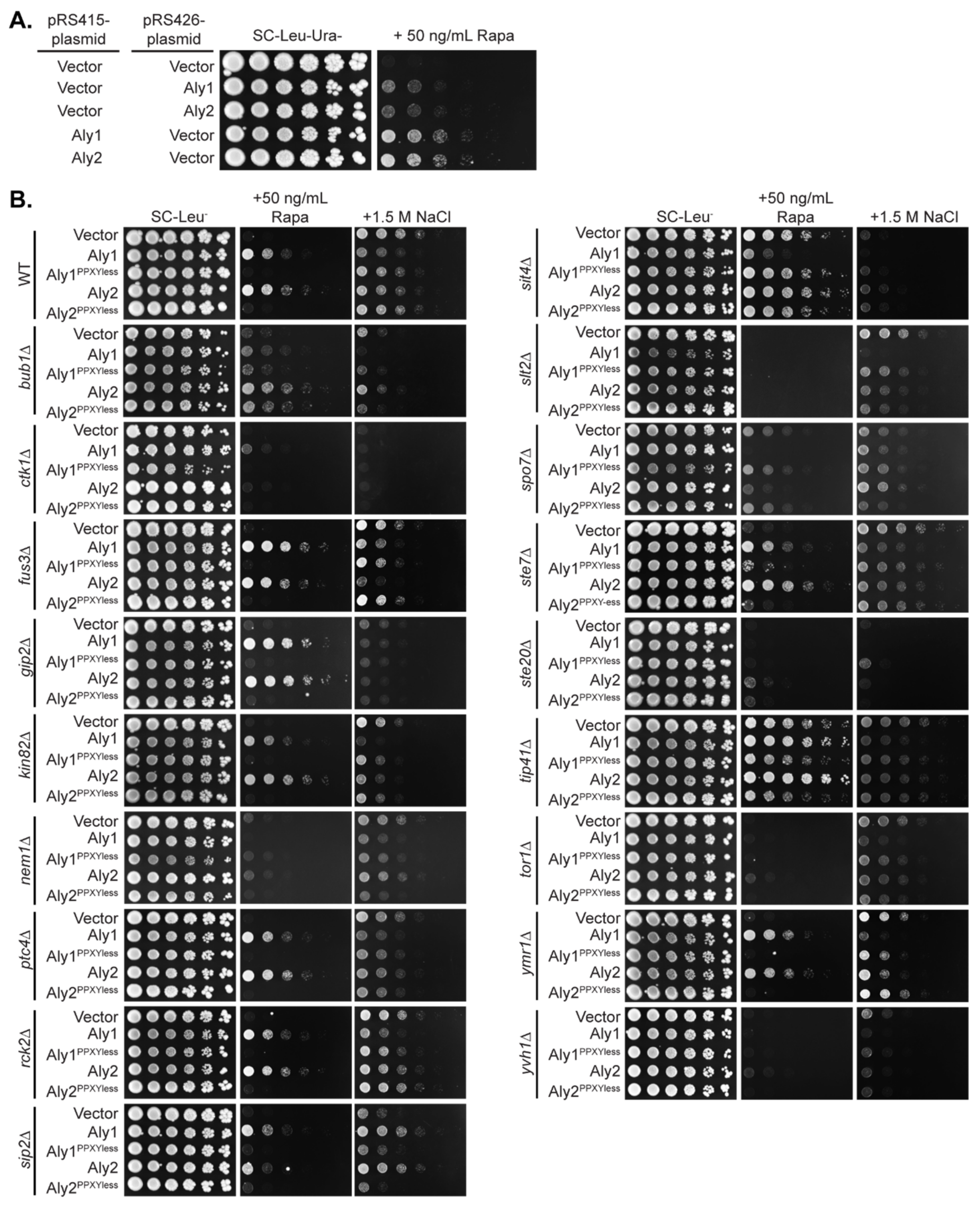Biomolecules 12 00533 g002