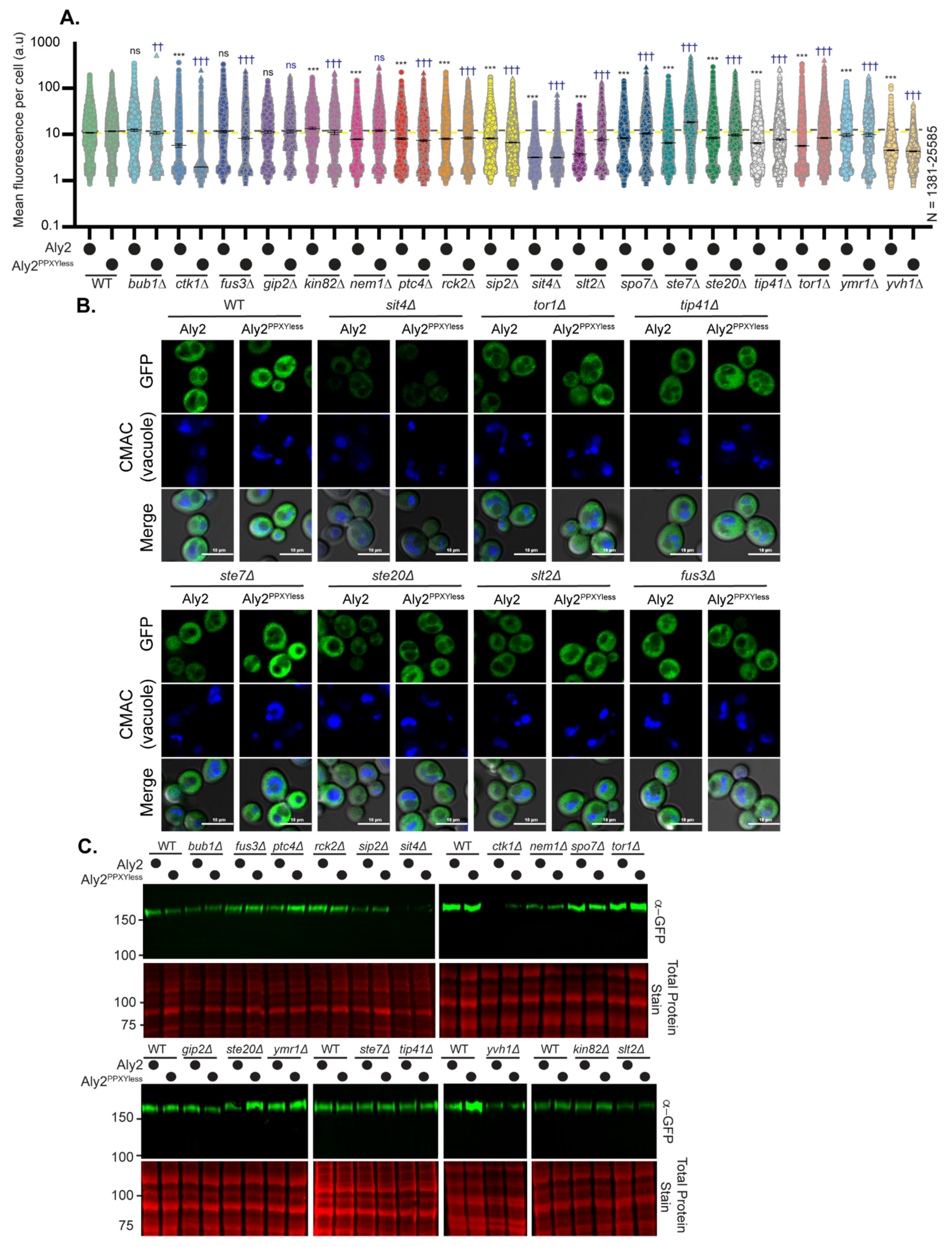 Biomolecules 12 00533 g004