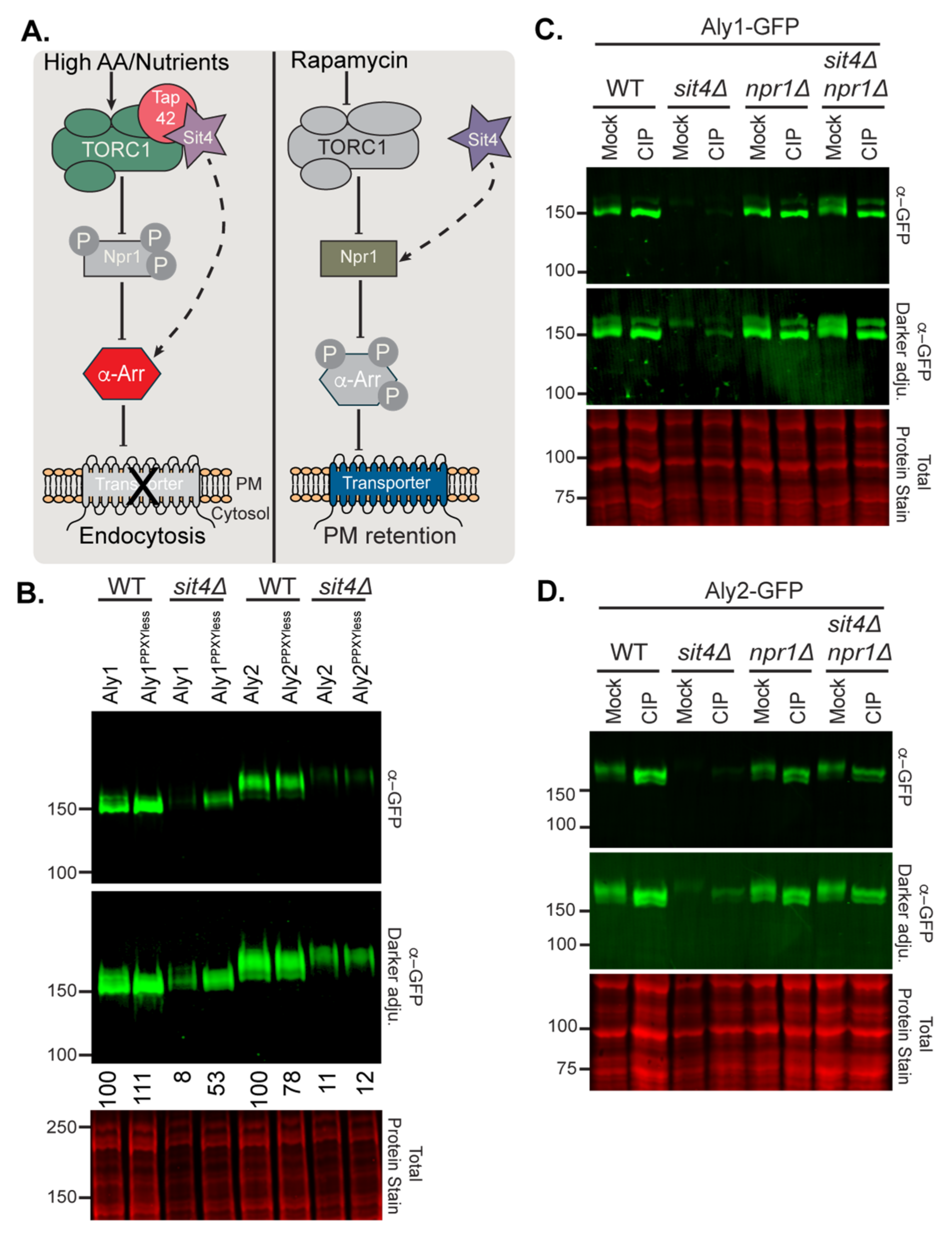 Biomolecules 12 00533 g005